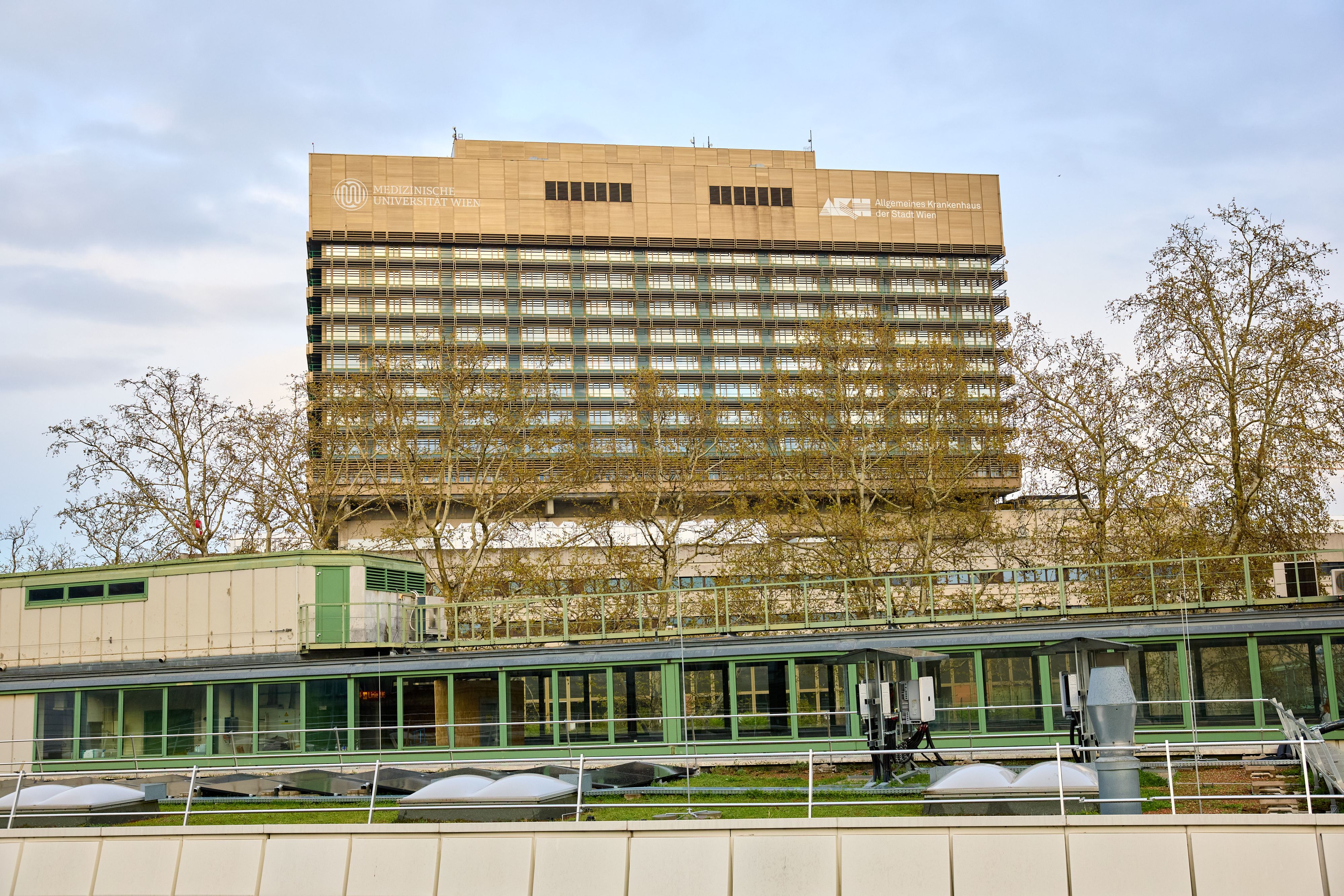 Ärzte im Wiener AKH diagnostizierten eine Infektion mit Lepra. (Symbolbild)