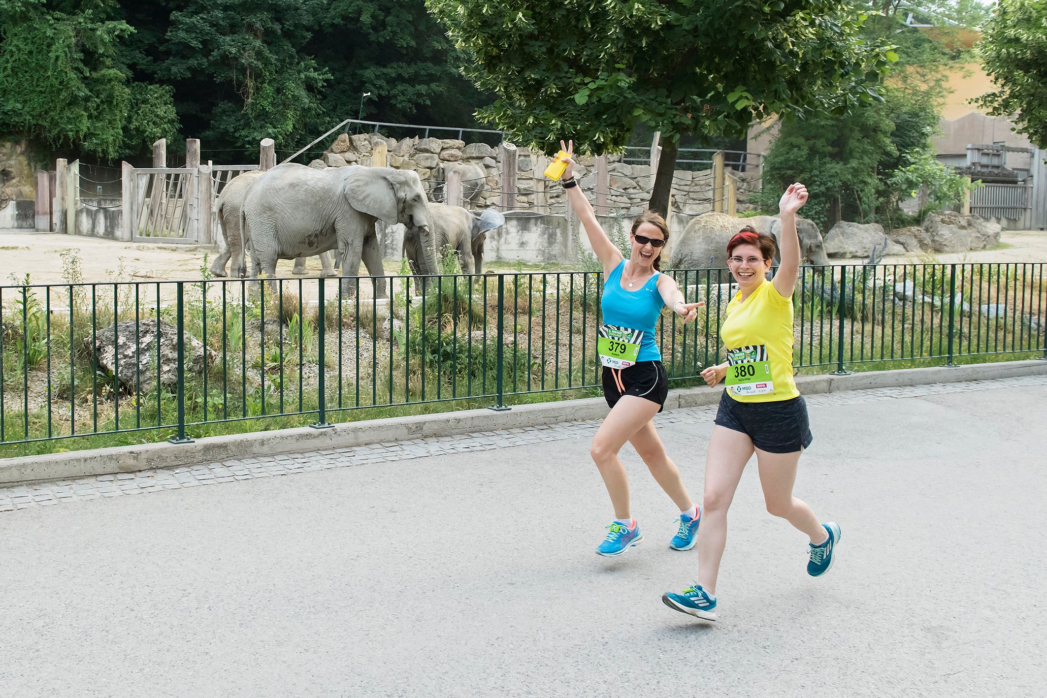Laufbegeisterte kommen im Tiergarten Schönbrunn am 11. Juni voll auf ihre Kosten.