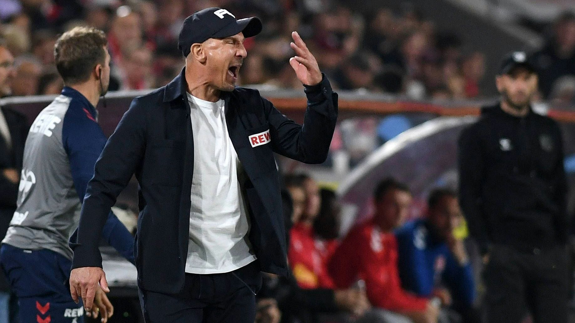 Köln-Trainer Gerhard Struber wurde von den Fans angezählt.