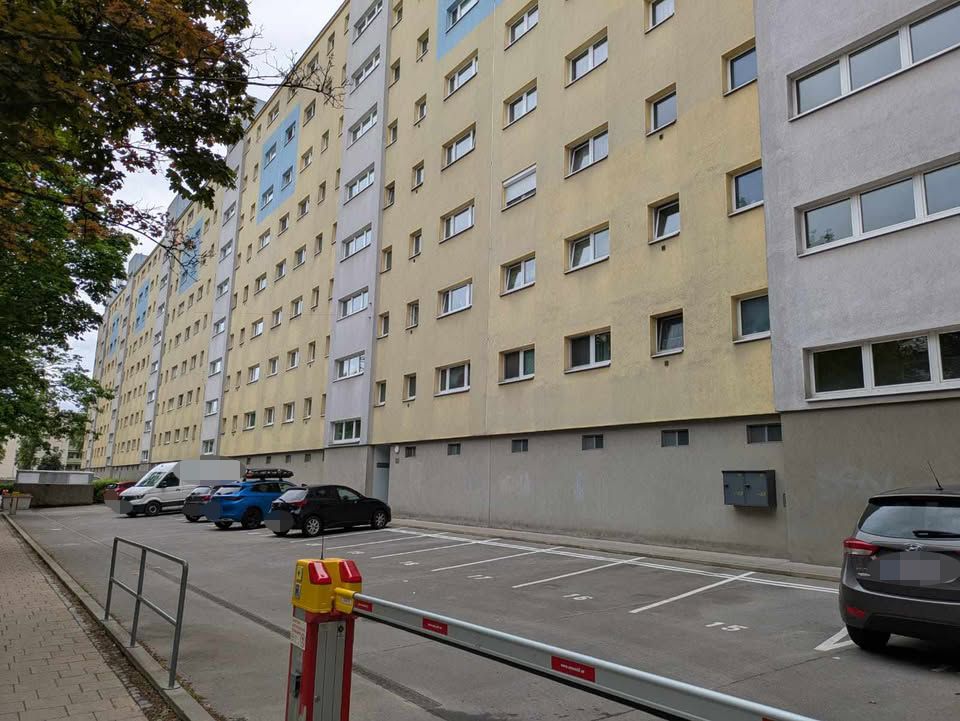 Die Pensionistin kann nicht fassen, wie schamlos ihre Hilfsbereitschaft ausgenutzt wurde.