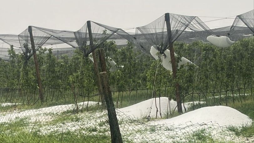 Massiver Hagel beschädigte Netzanlagen im Südburgenland
