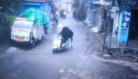 Kurioses Video aus Indien.