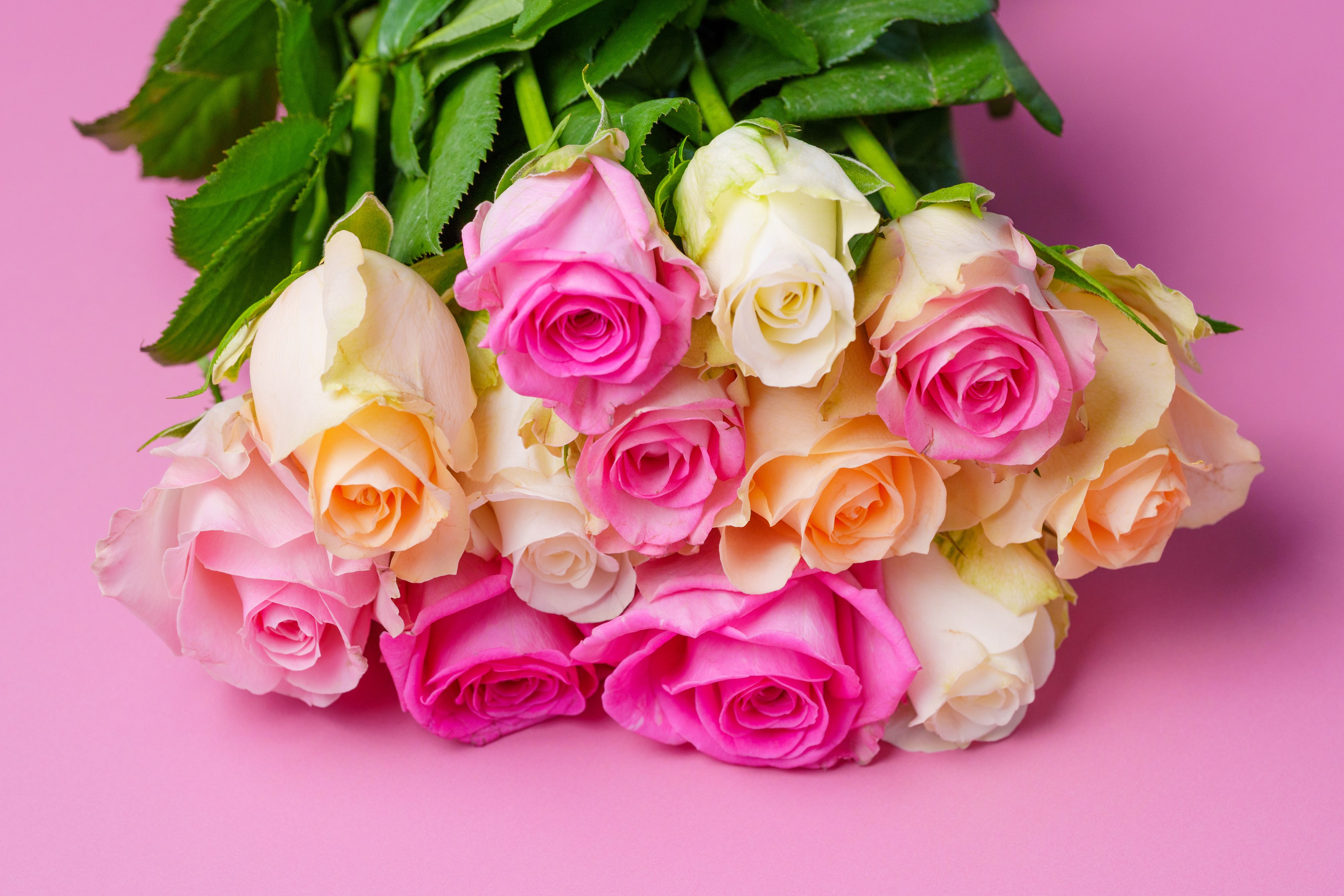 Mit Liebe geschenkt, aber leider mit Pestiziden belastet.