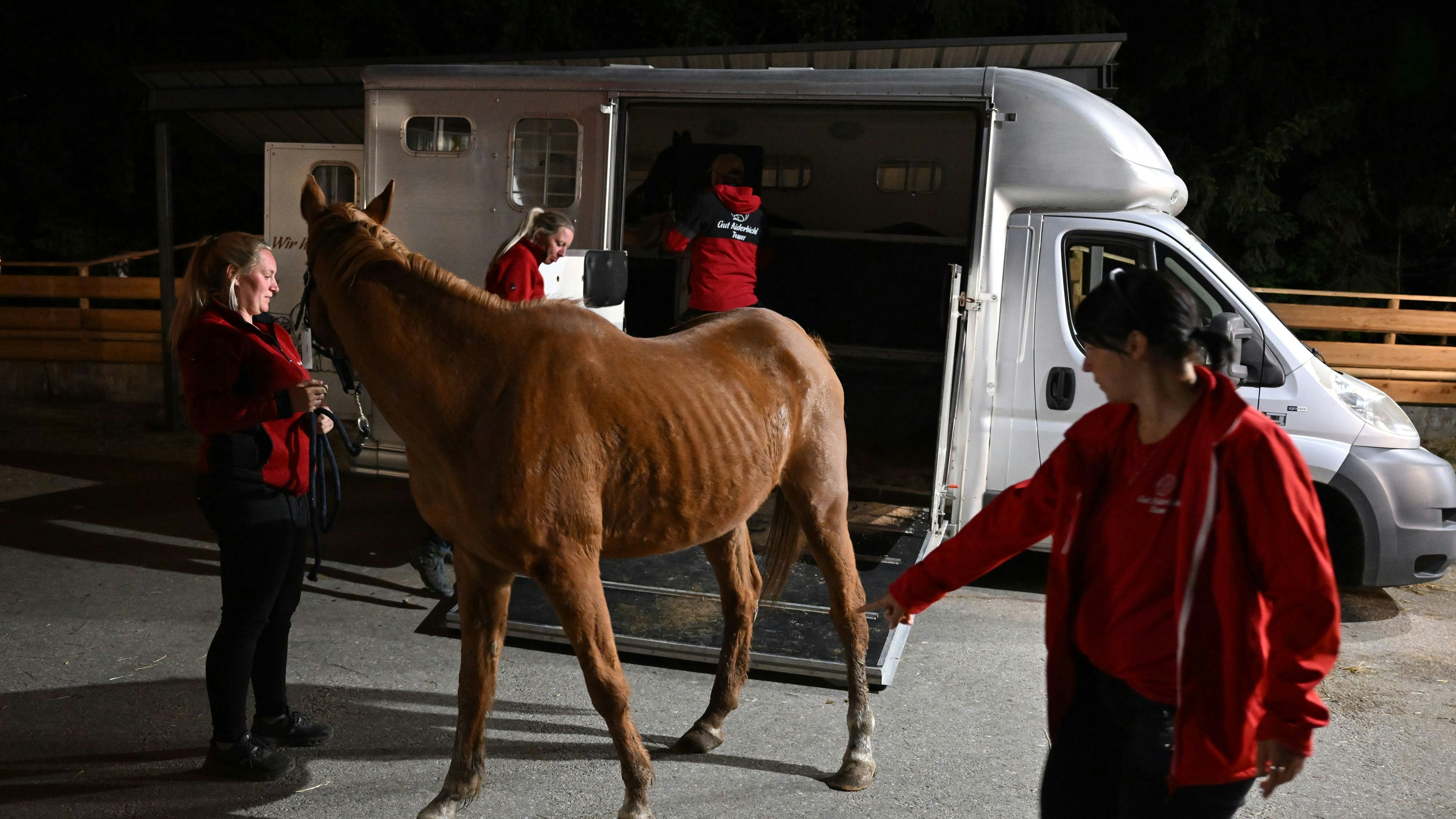 Kaum vorstellbar, dass die ehemalige Besitzerin gegen die behördliche Abnahme kämpfen wird. 