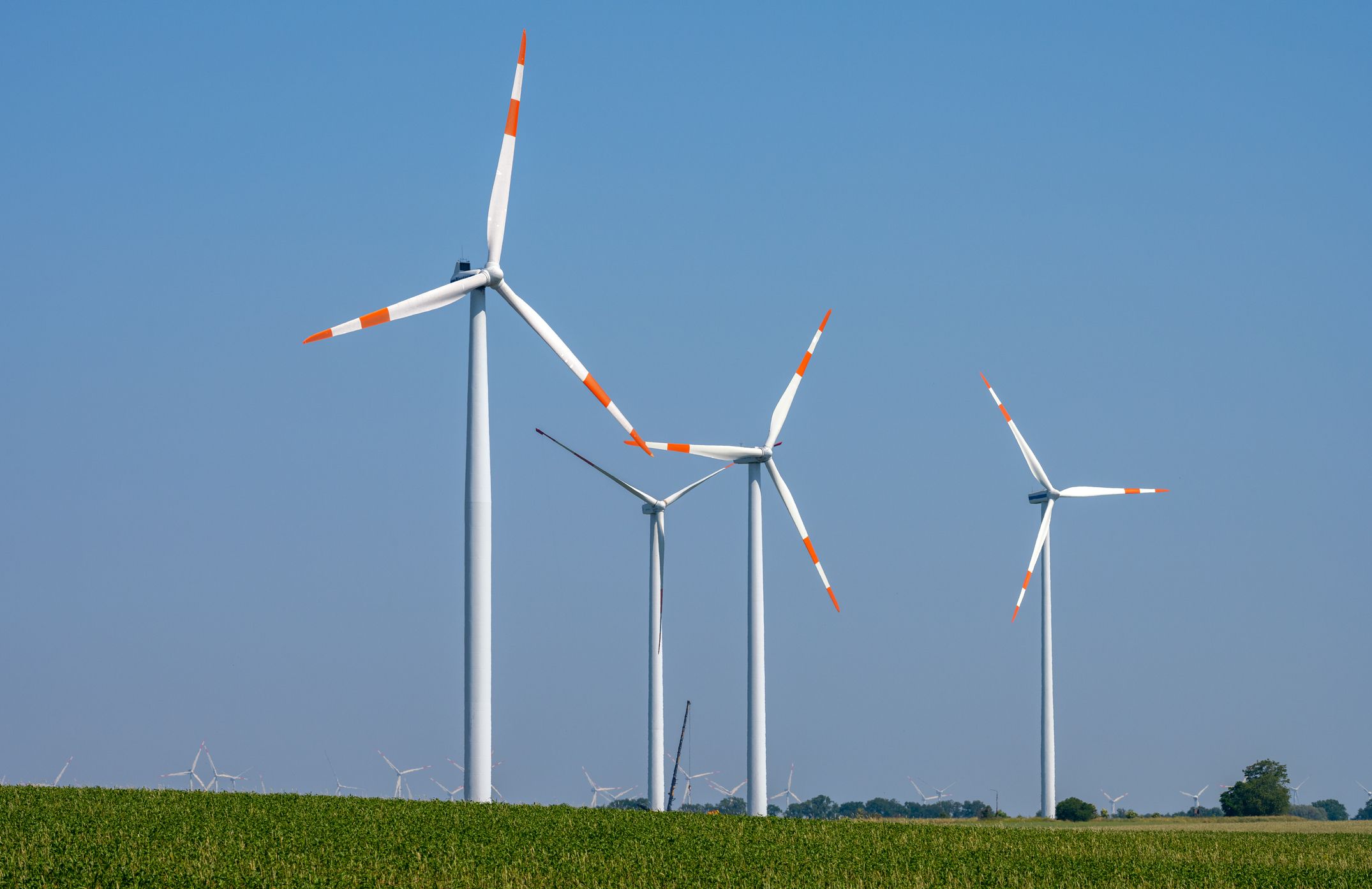 Schwarz-Blau gegen die Windkraft: Eine Verordnung soll in OÖ bald einen großen Teil des Landes zur Ausschlusszone machen. (Symbolbild)