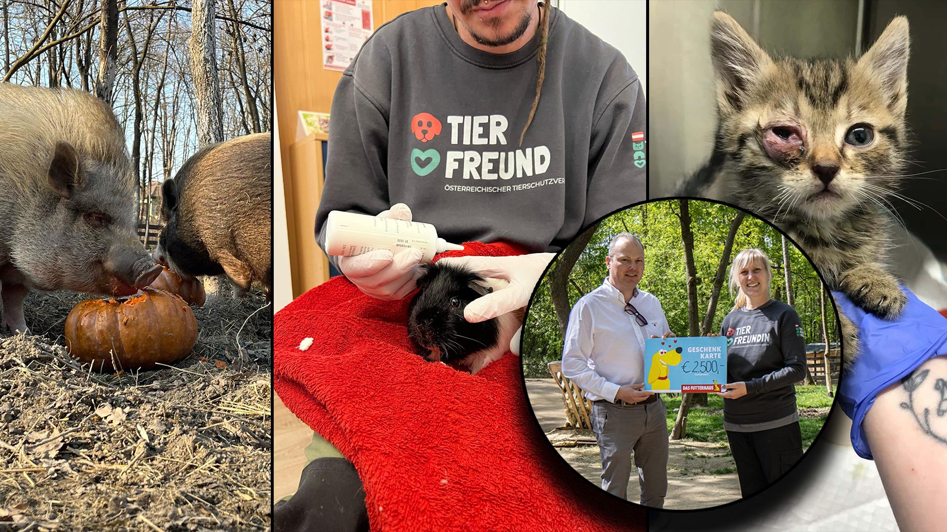 Das Futterhaus spendete als Ergebnis der Aktion 