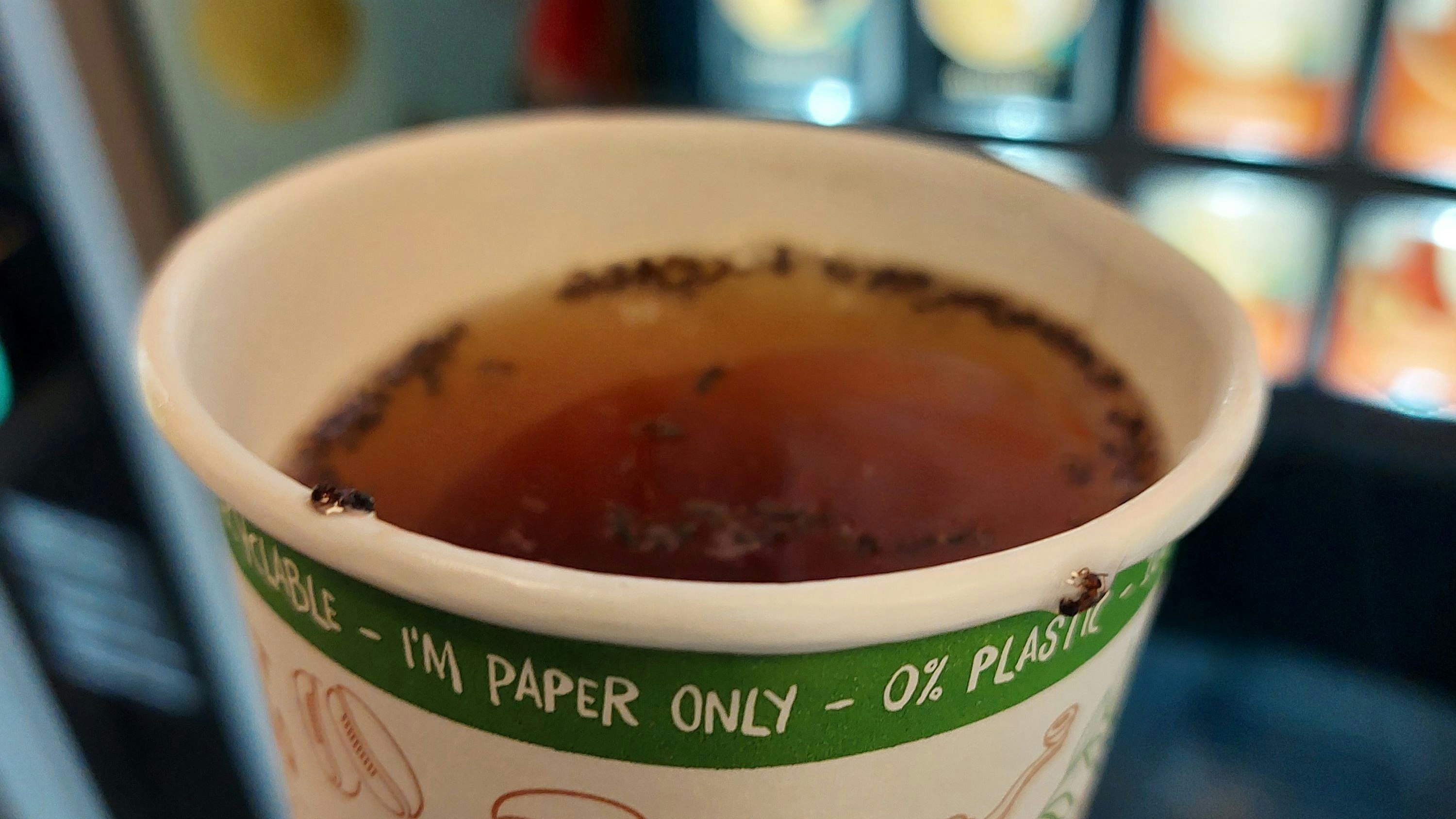 Kein Plastik – dafür hatte Lea Ameisen im Teebecher.