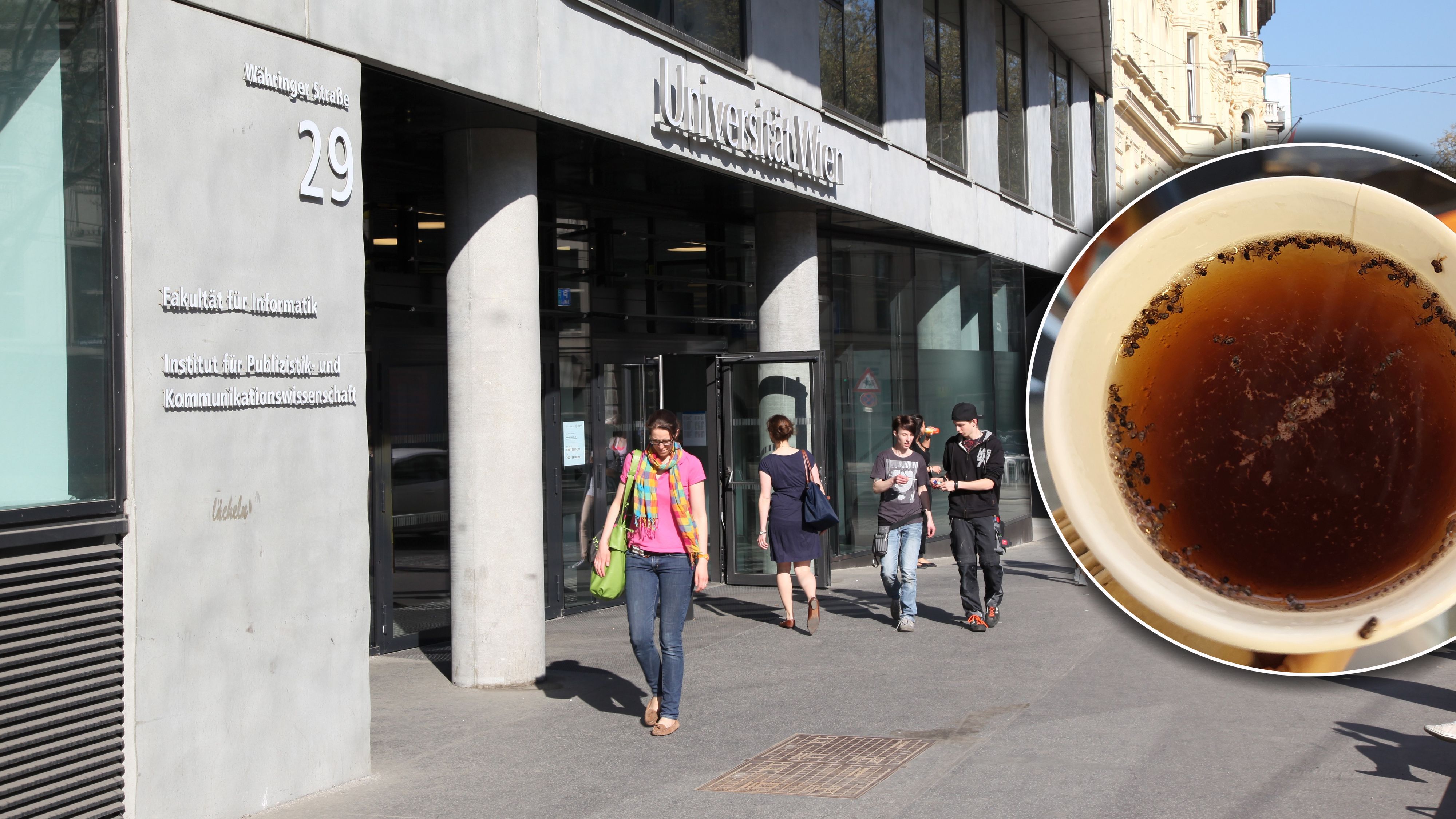 Ekel-Alarm am Freitag in Wiener Universität.