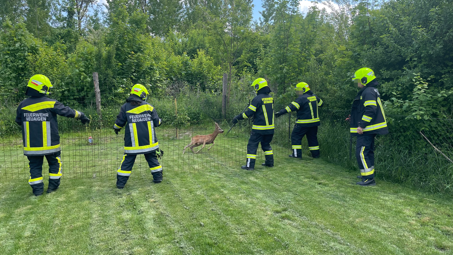 Die Einsatzkräfte konnten den Rehbock befreien.