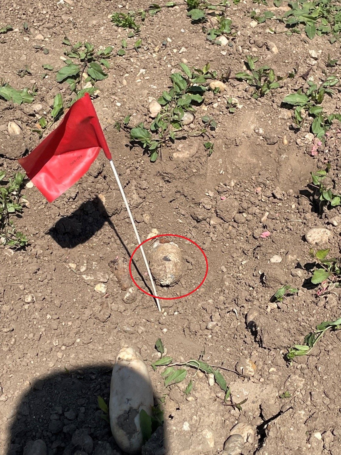 Am Montag (12.05.2025) wurde eine Weltkriegsgranate in Wien-Favoriten entdeckt.