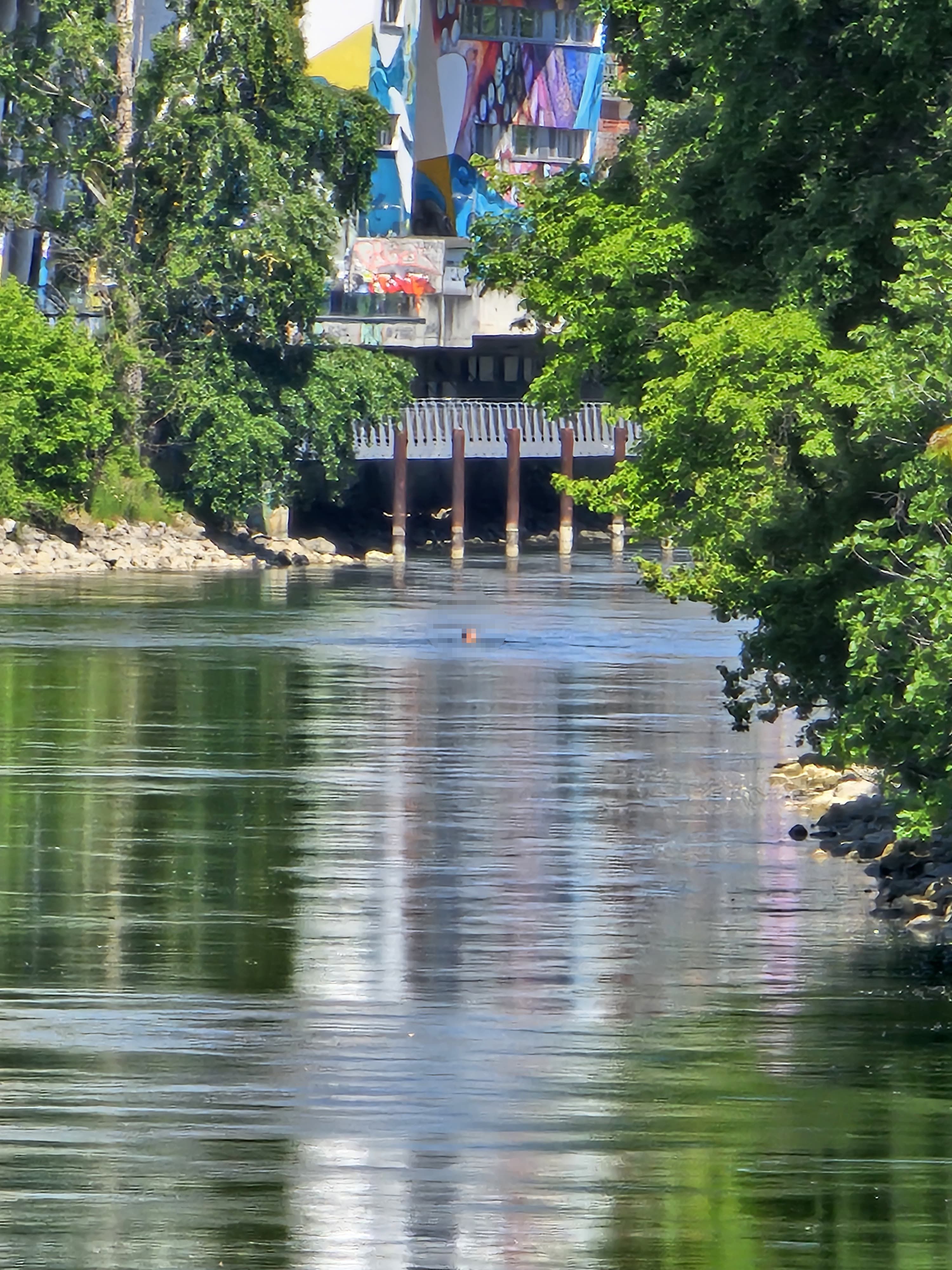 Der 27-Jährige wurde aus dem Donaukanal gerettet.