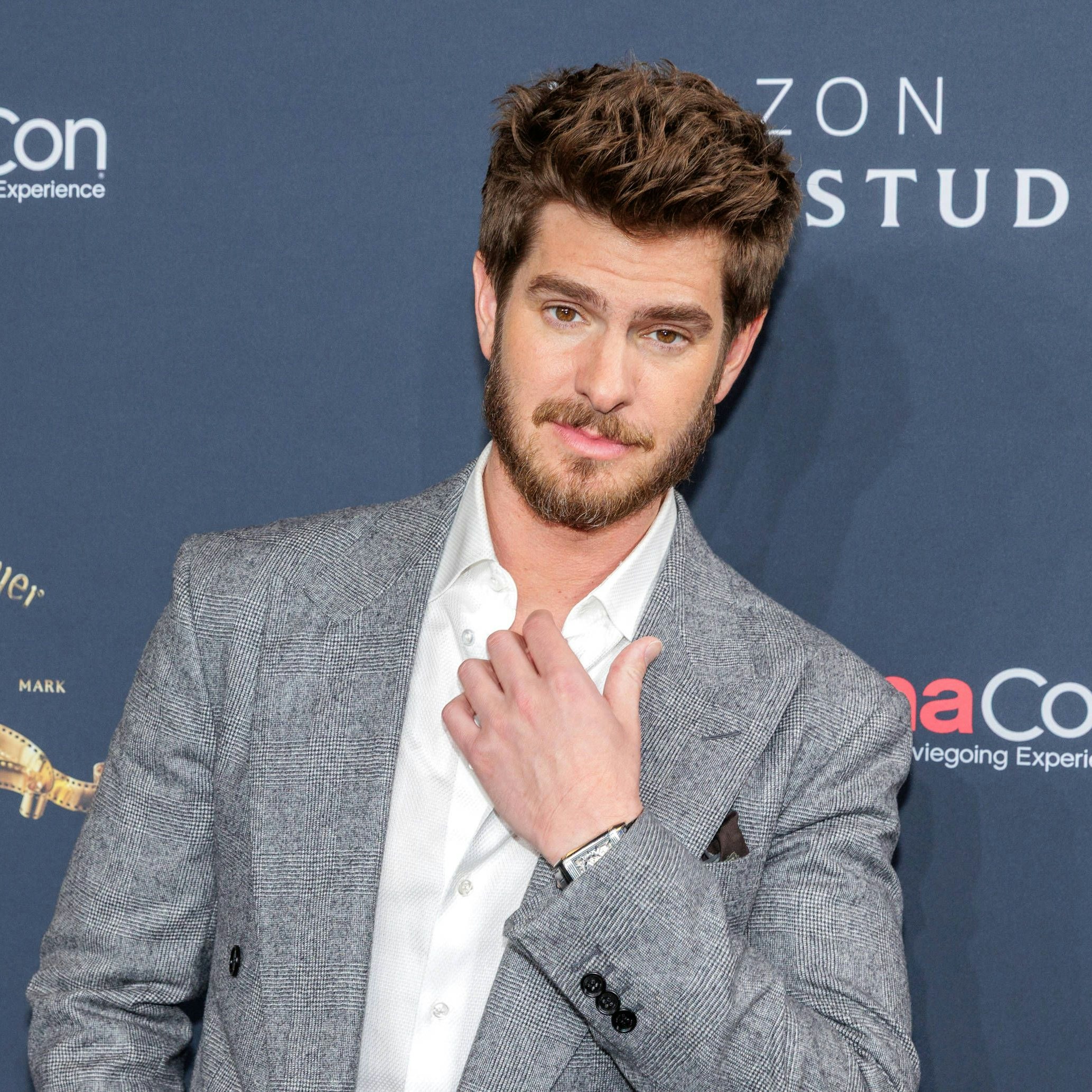 Andrew Garfield wird Roy spielen.
