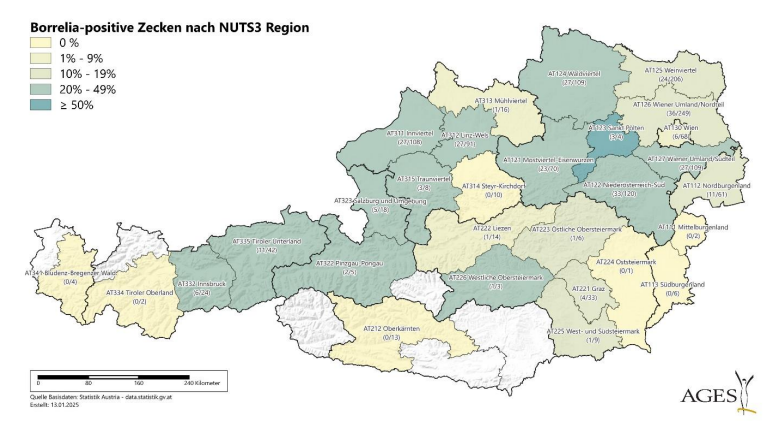 Borrelia-Infektionsraten in Österreich 2024