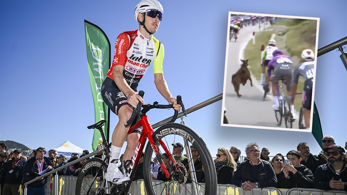 Dion Smith ist beinahe mit einer Ziege zusammengestoßen. 