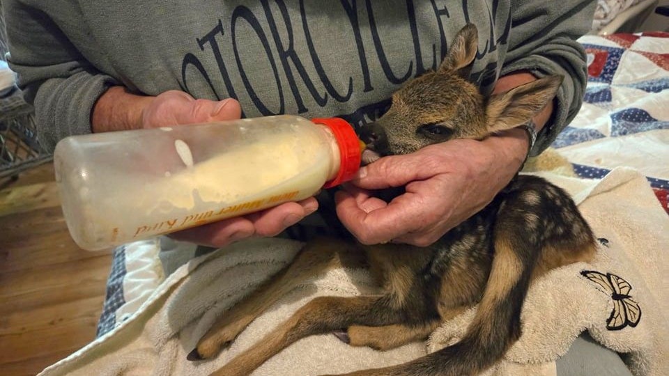Jetzt heißt es Daumen halten.