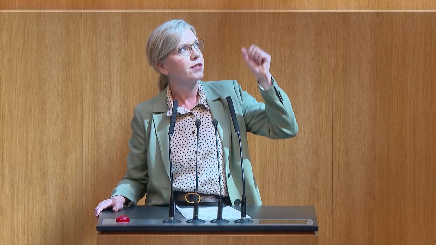 Leonore Gewessler während ihrer Budgetkritik im Nationalrat am 14. Mai 2025.