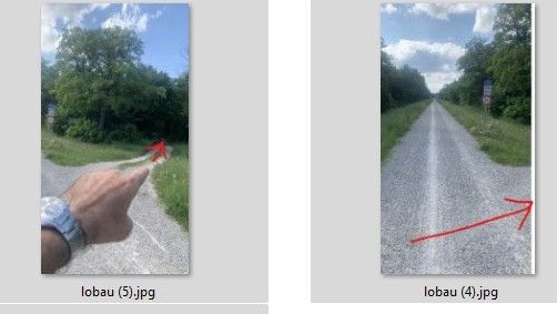 Wolfgang T. dokumentierte das verhängnisvolle Wegerl in der Lobau.