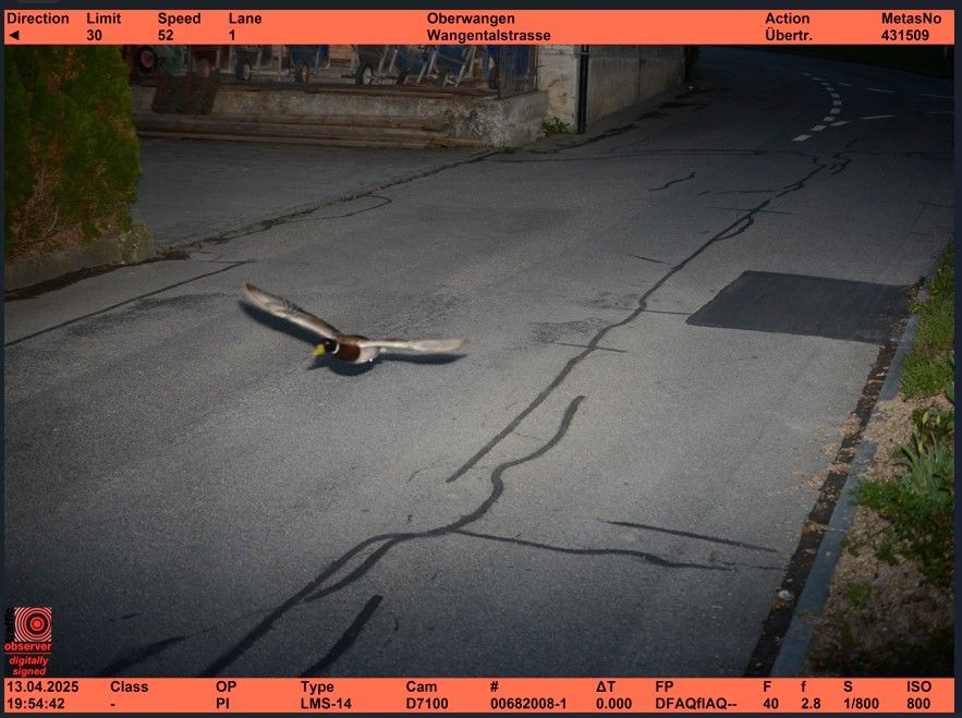 Am 13. April 2025, um exakt 19.54 Uhr, wurde der Erpel vom Blitzer erwischt.