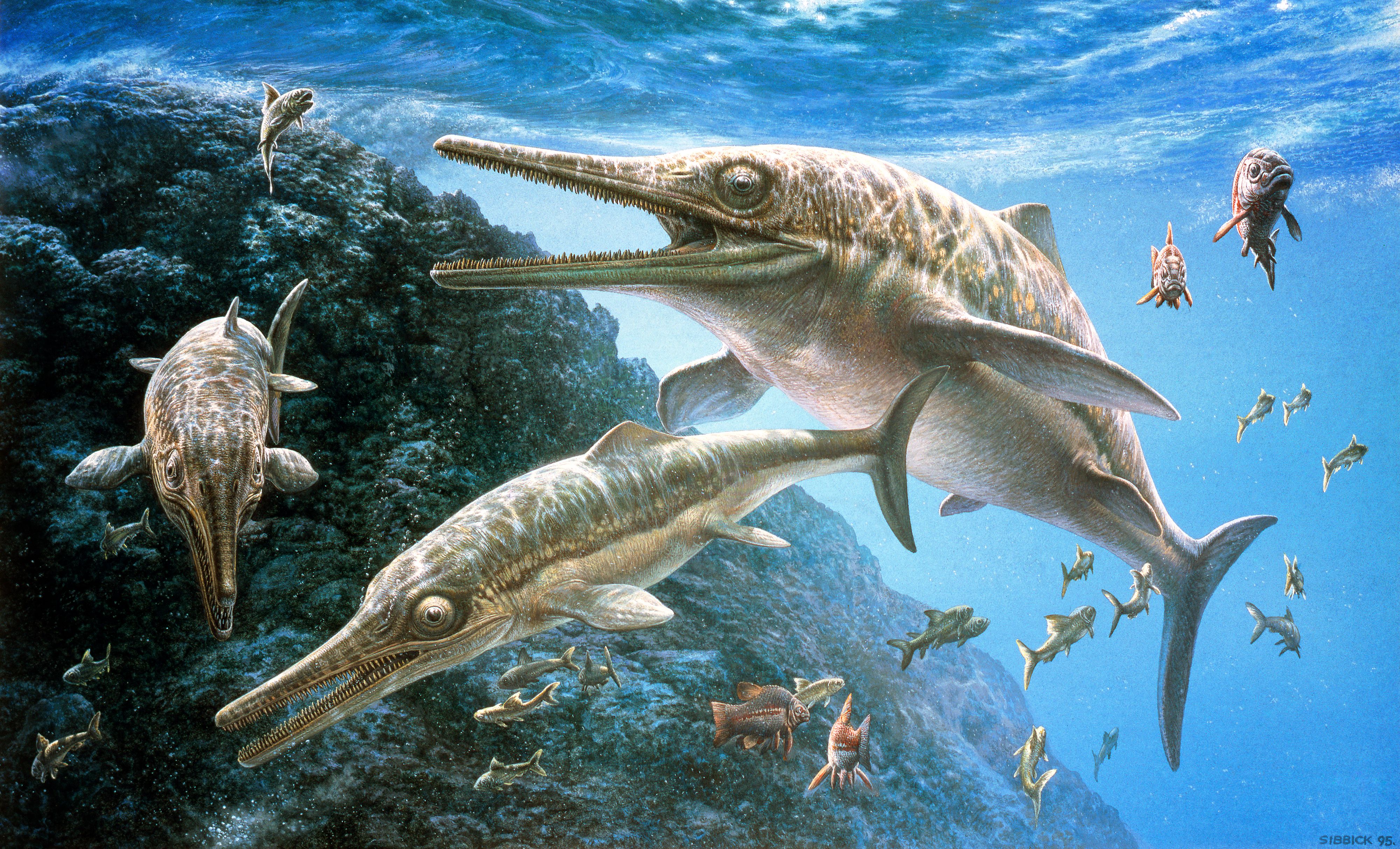 Opfer einer urzeitlichen Klimakrise: Temnodontosaurus ichthyosaurs (Illustration).