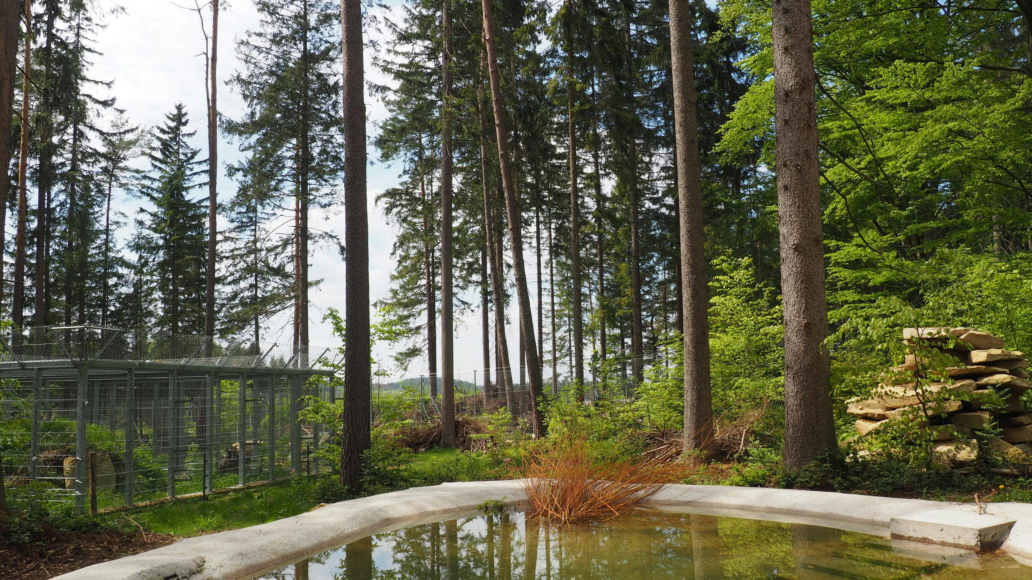 Sein Gehege kann sich sehen lassen!