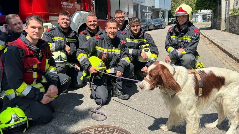 "Filli" und seine Retter in Not