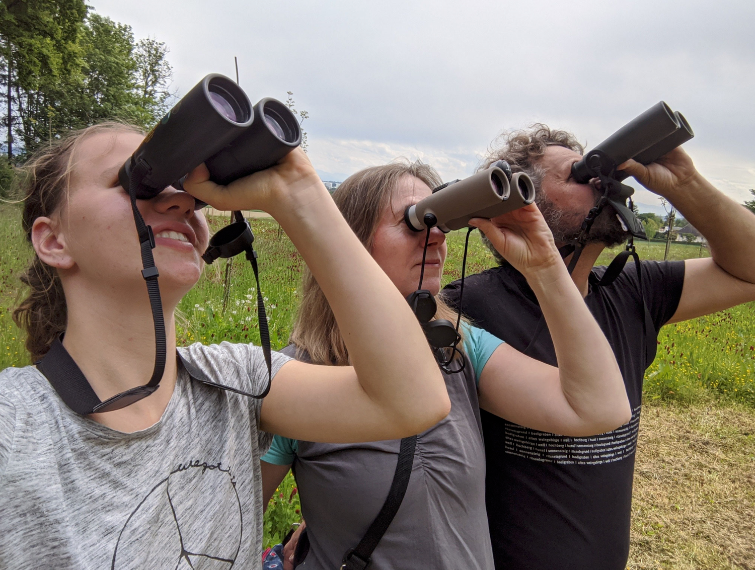 Was fliegt denn da? Auf dem Instagram-Kanal von BirdLife Österreich kannst du das BirdRace mitverfolgen.