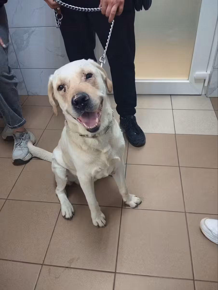 Kosmos hat einen Raketenangriff überlebt.