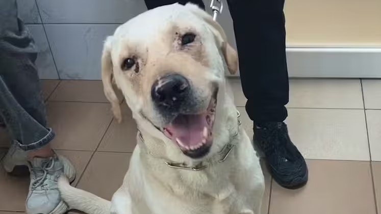 Kosmos hat einen Raketenangriff überlebt.