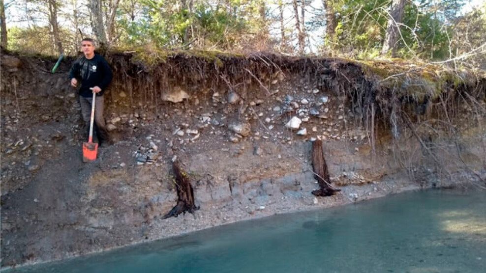 Die versteinerten Baumreste wurden rund um einen Fluss bei Drouzet in den südfranzösischen Alpen gefunden
