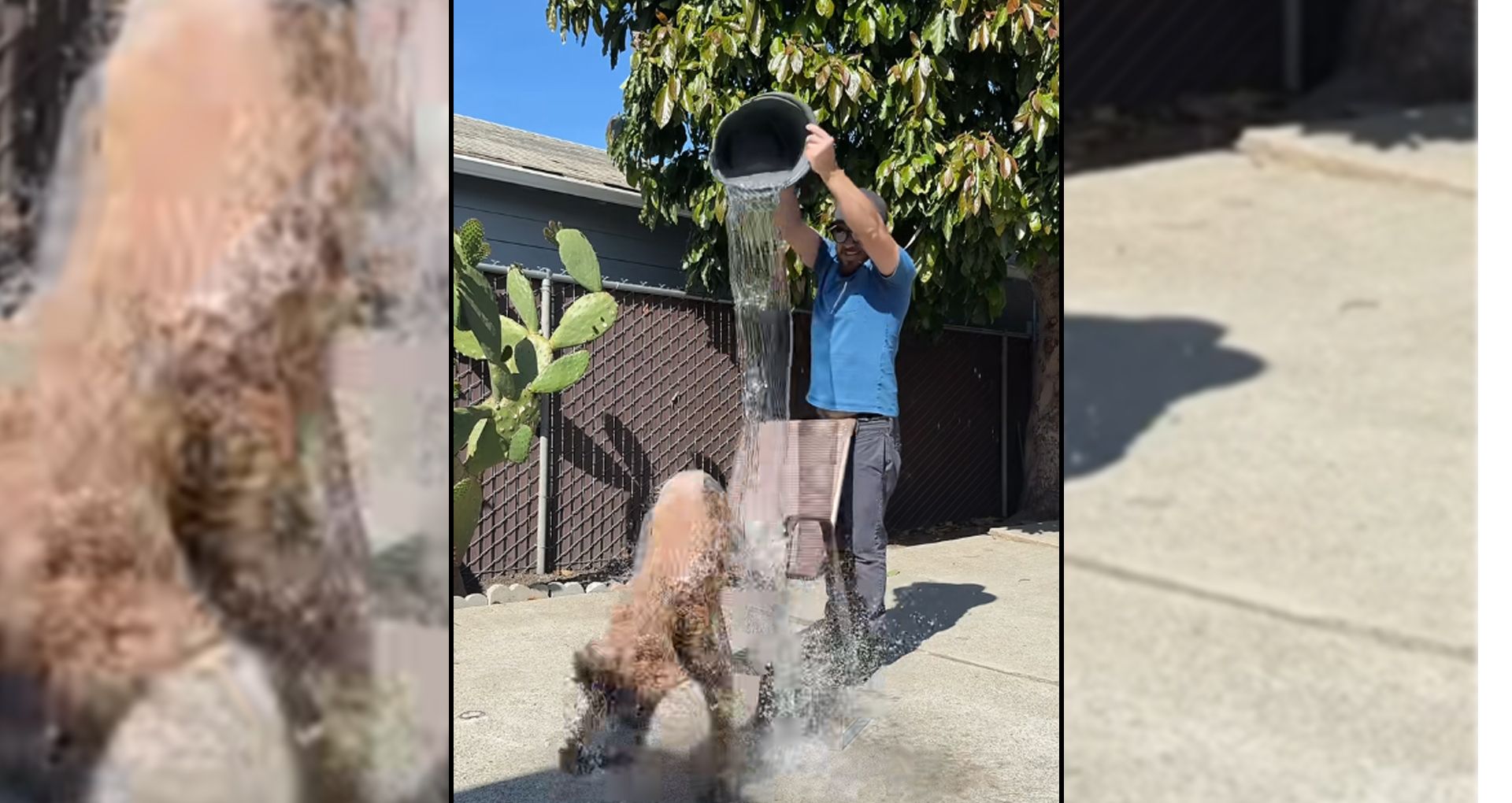 Unabhängig von möglichen Gesundheitsproblemen stellt die Ice-Bucket-Challenge auch einen Vertrauensbruch dar.