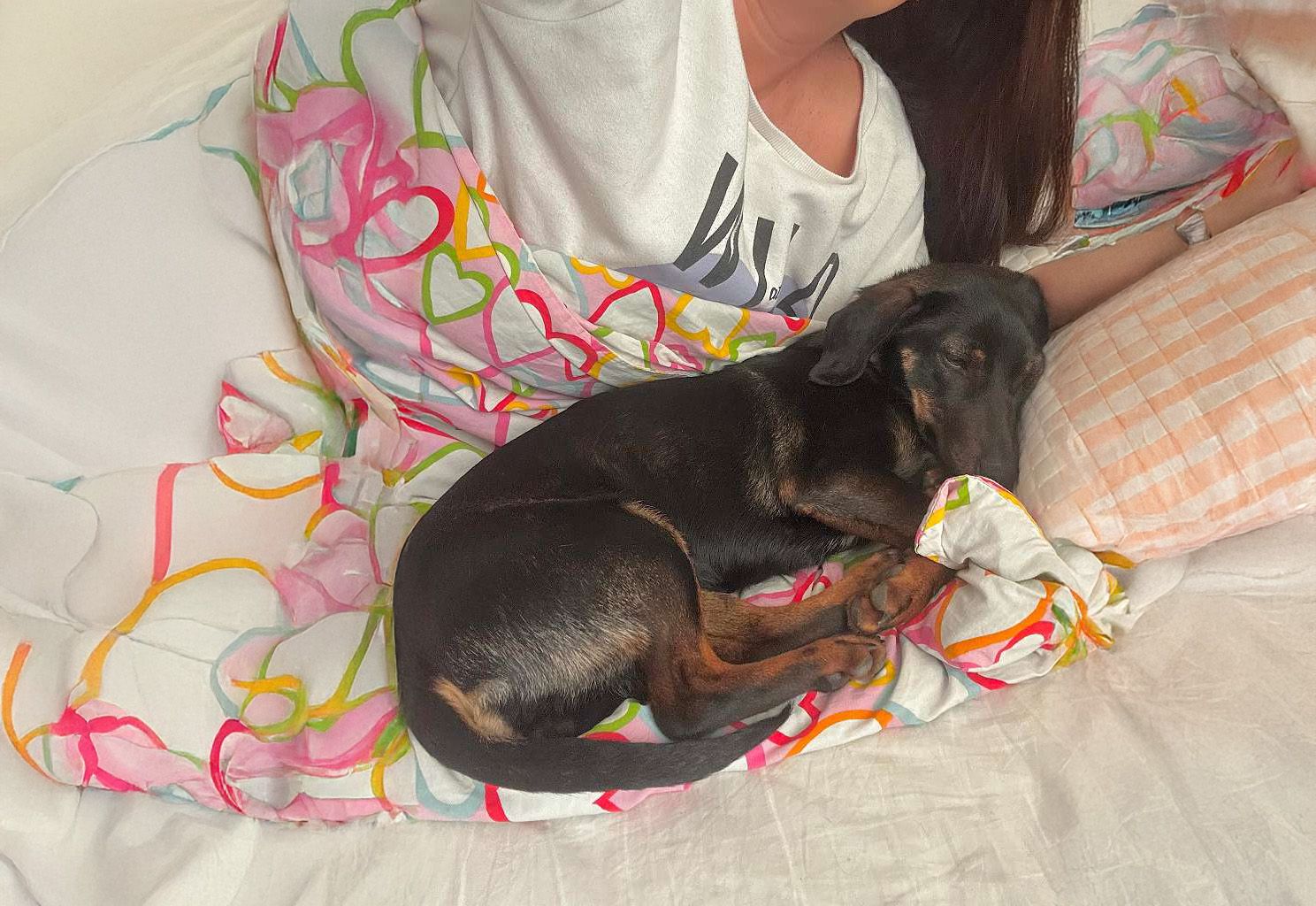 Hündin Gina war ihren&nbsp; alten Besitzern 