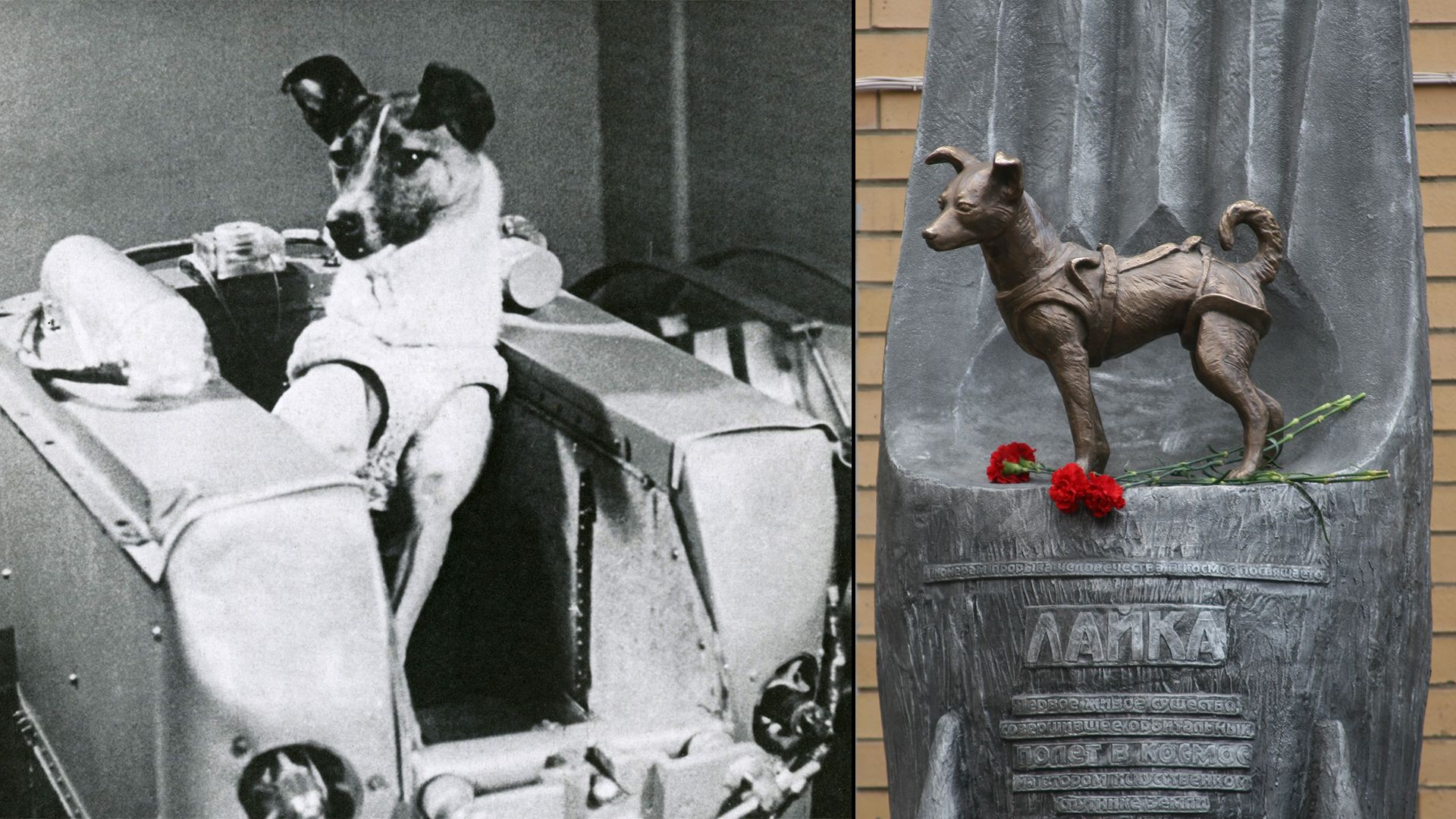 In Moskau steht ein Denkmal für ihren "großartigen Dienst an die Menschheit".