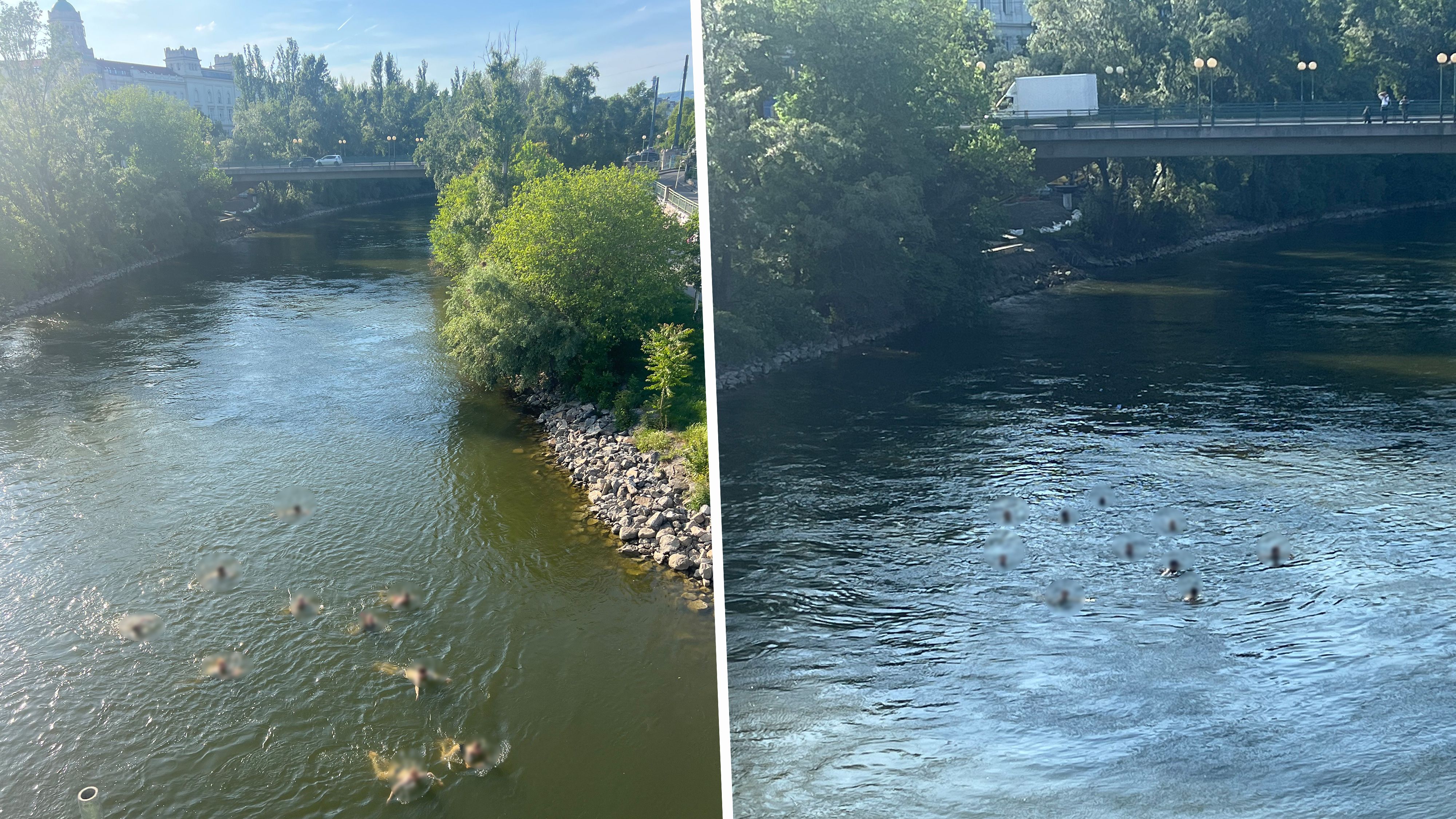 Früher Saisonstart! Wiener hüpfen schon in Donaukanal.