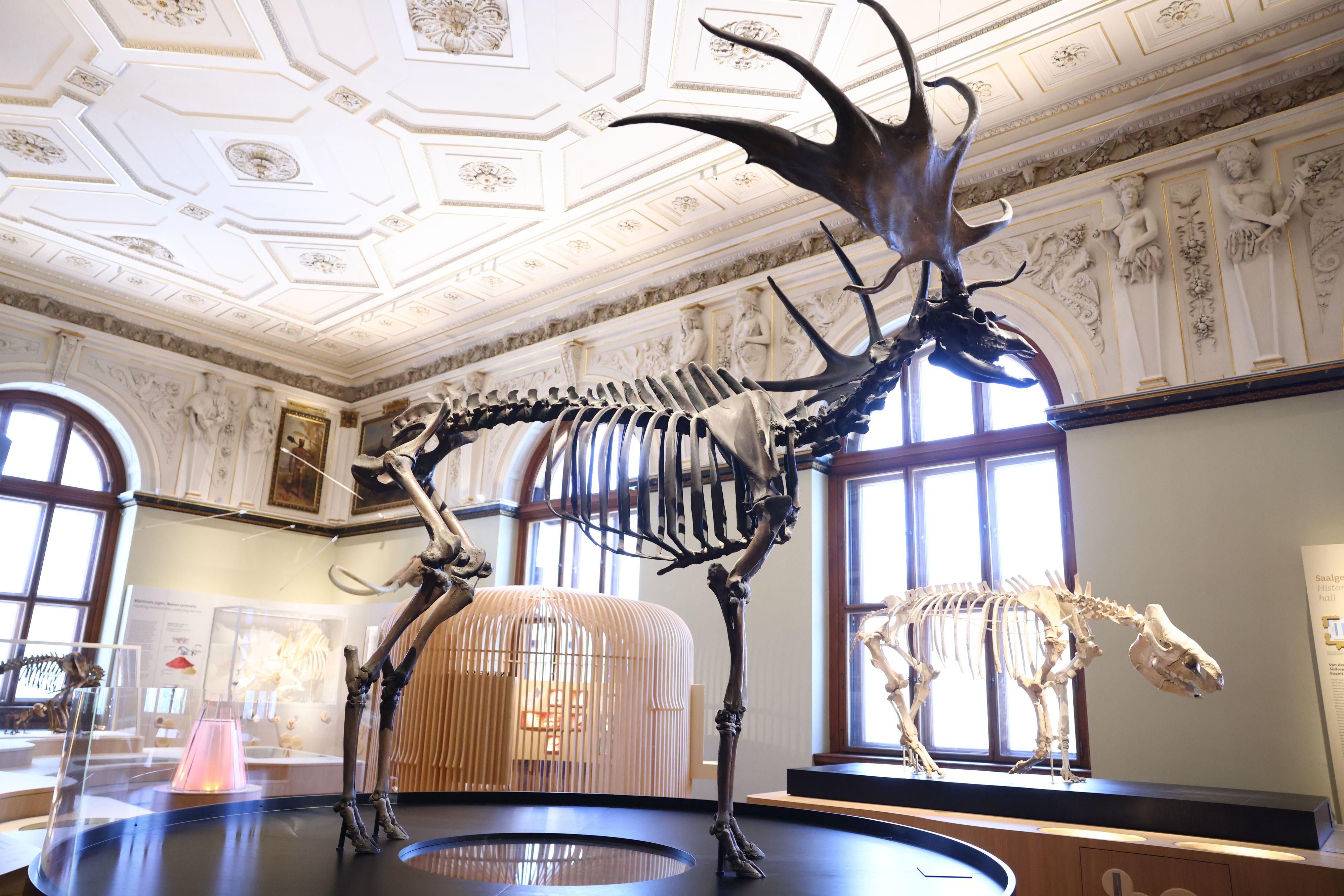 Heute.at - Keine Zusage vom Bund – NHM legt Umbau auf Eis