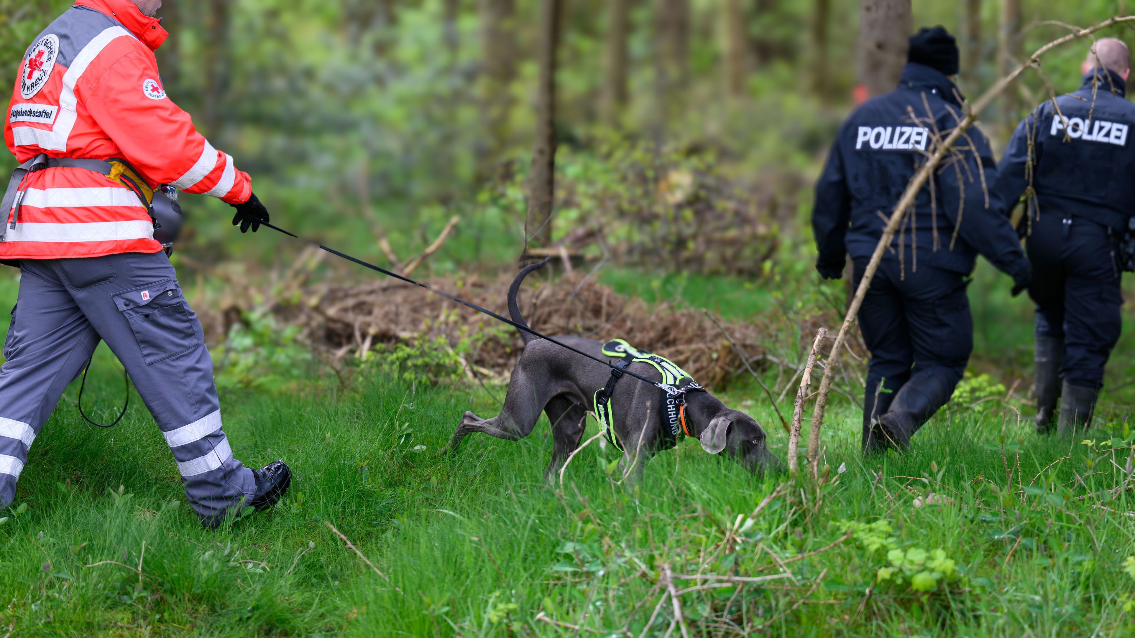 Johann J. (90) aus Hadersdorf (Bezirk Krems-Land) wird vermisst. Die Polizei bittet um Hinweise.
