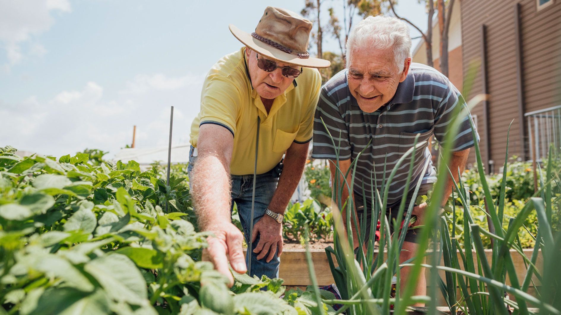 Demenz-Patienten profitieren von der Gartenarbeit.