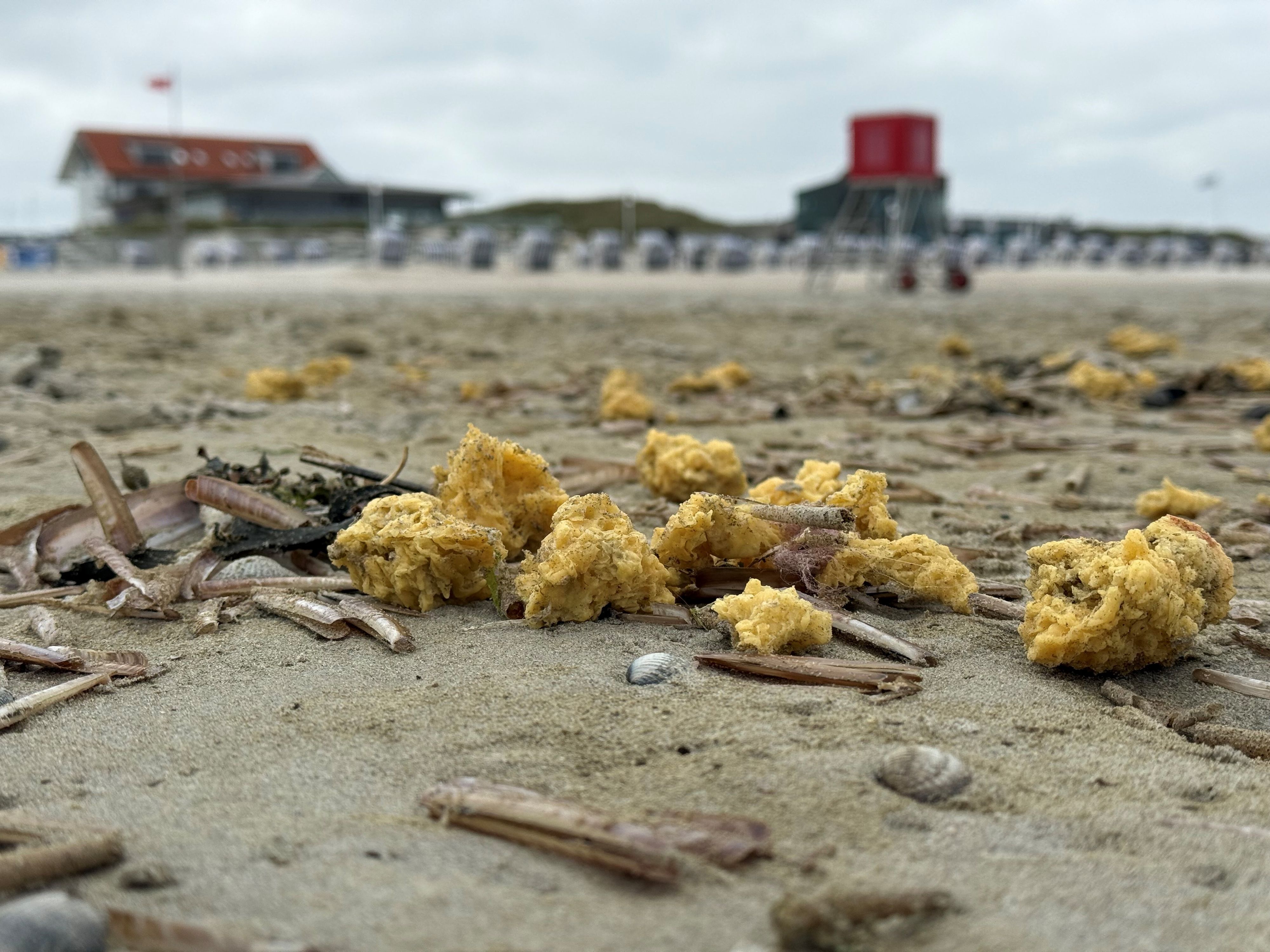 Gelbe, wachsige Klumpen sind plötzlich am Strand der Ostfrieseninseln Borkum, Juist und Norderney aufgetaucht.