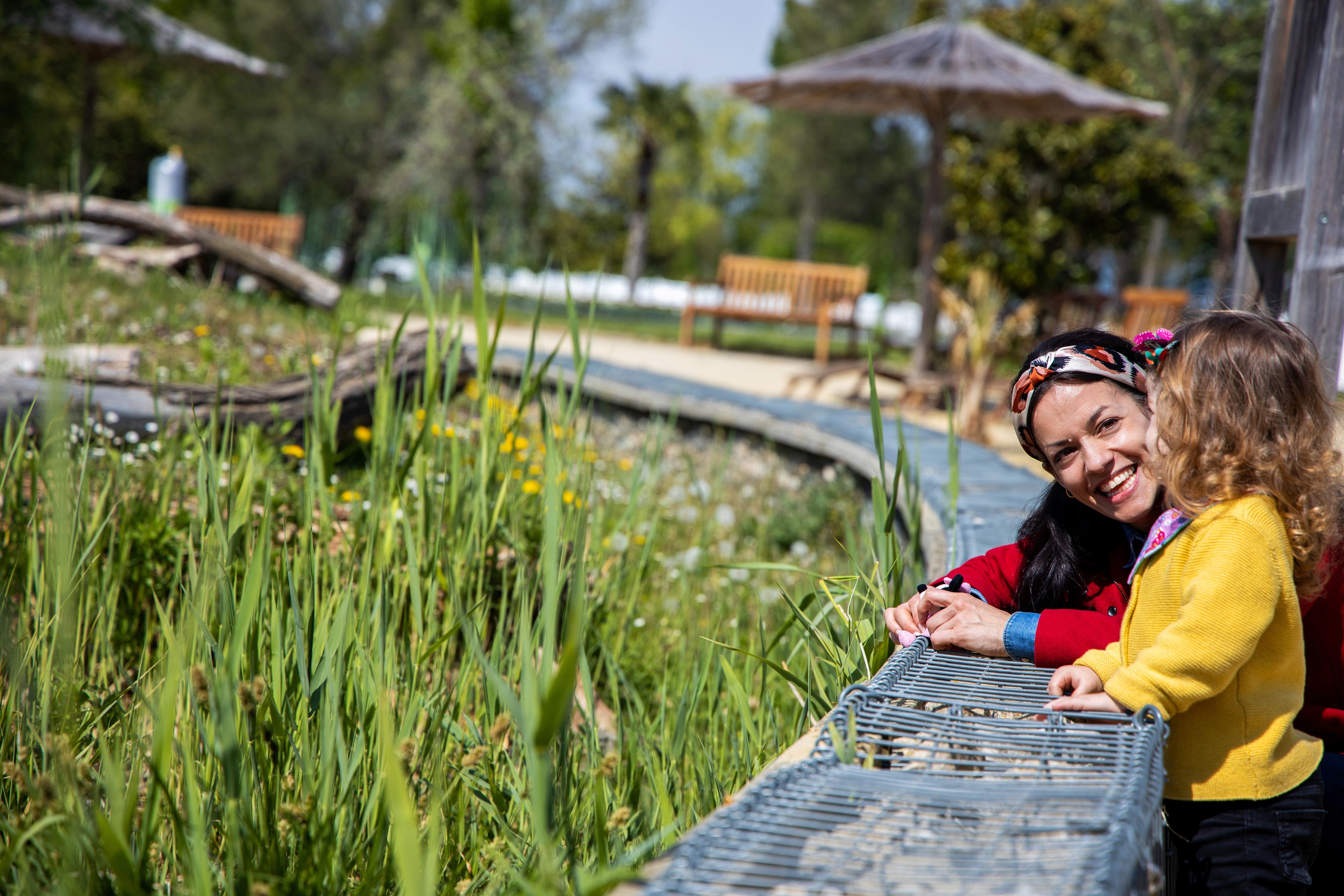 Am 24. und 25. Mai 2025 finden die Tage der Artenvielfalt der Wiener Stadtgärten statt.