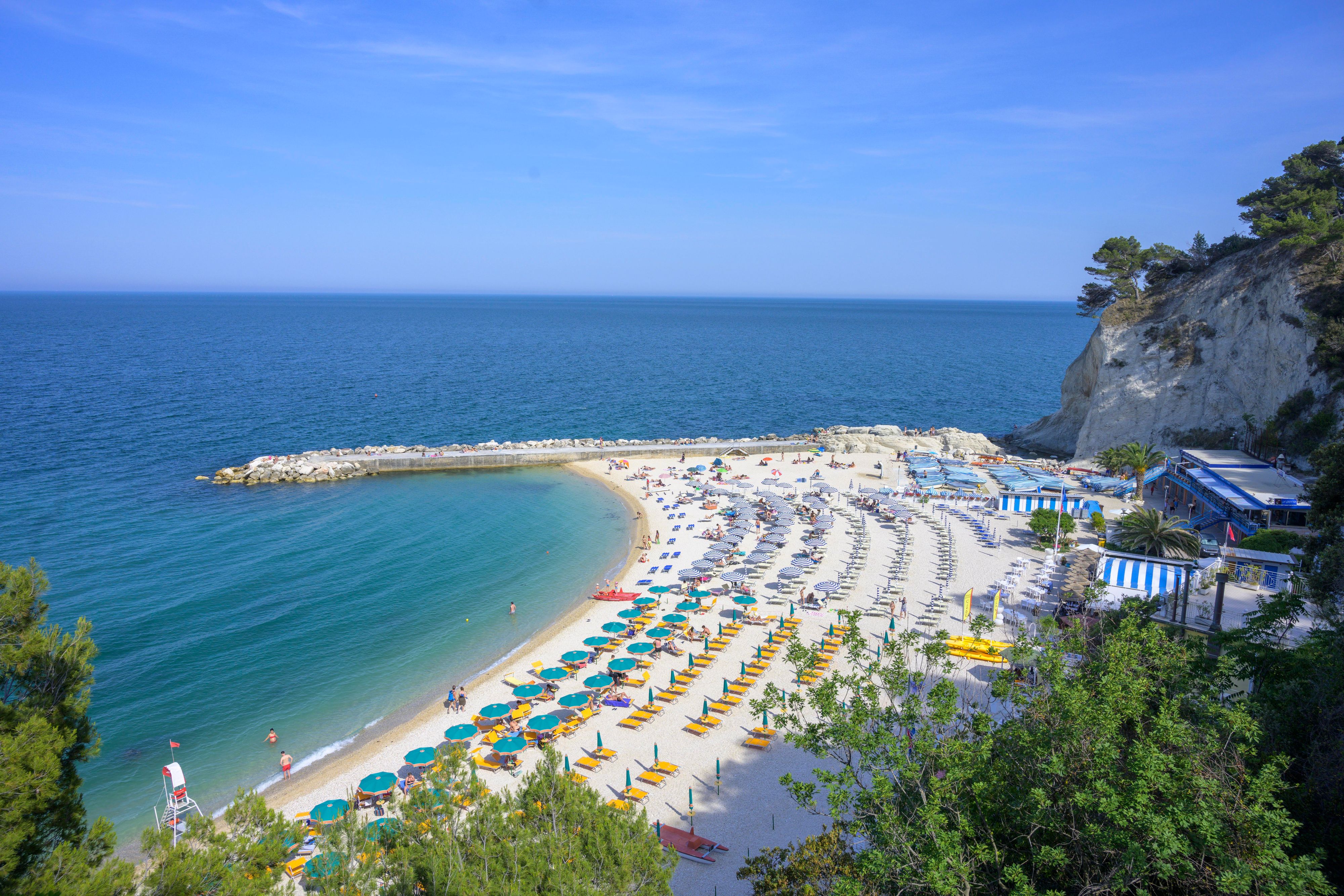 Die Sorge um die Wildmiesmuscheln an der&nbsp;Conero-Küste zwischen Ancona und Sirolo wächst.