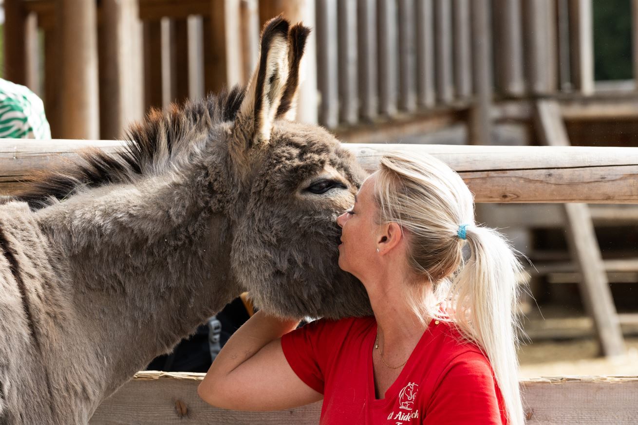 Nun muss die Wiedereröffnung doch nochmal verschoben werden. 