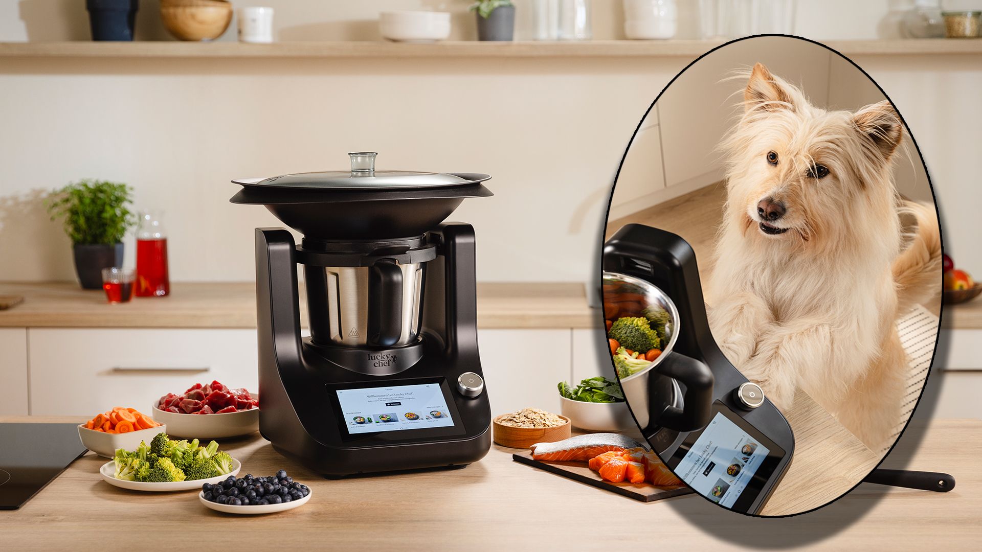 Heute.at - Diese Maschine zaubert Superfood-Hundefutter