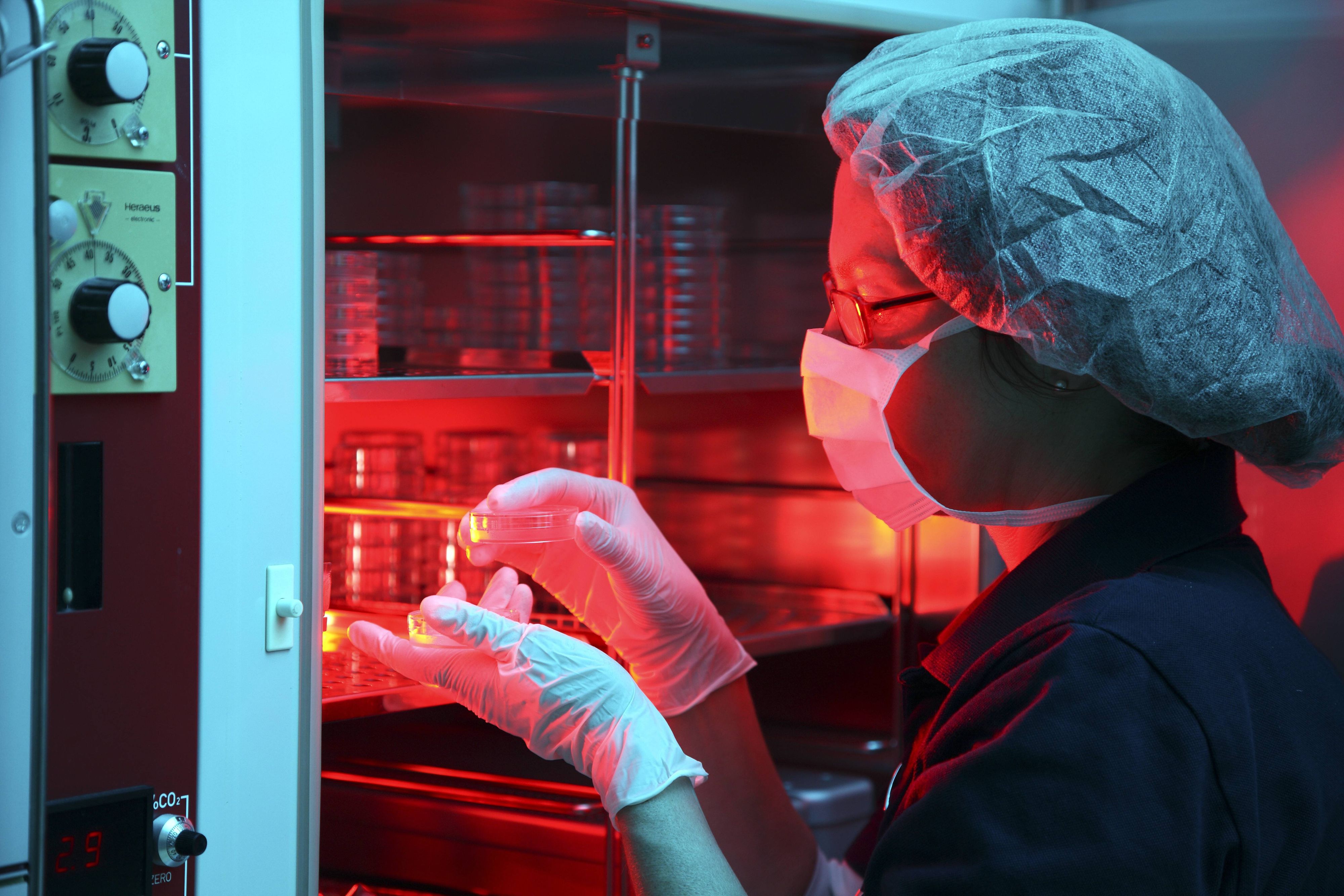 Ein Samenspender hat zwischen 2008 und 2015 ein Krebs-Gen an mindestens 67 Kinder vererbt. (Symbolbild)