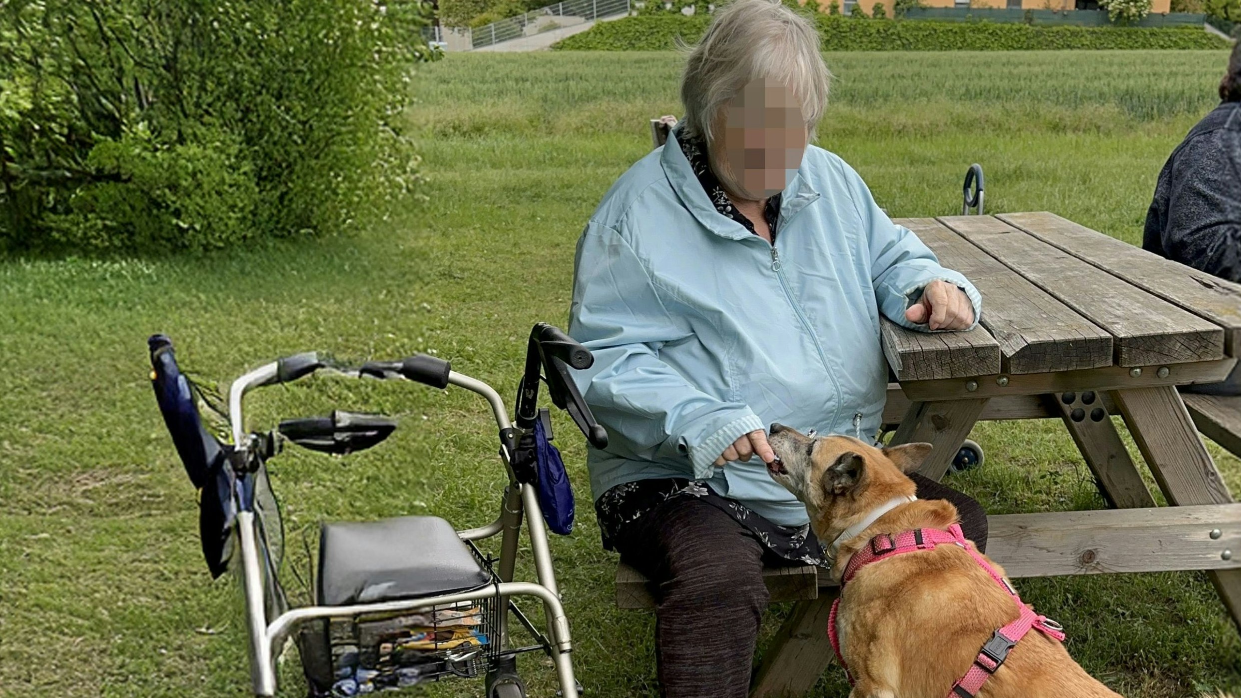 Für Hündin Minta und ihre Besitzerin gab es das lang ersehnte Happy End