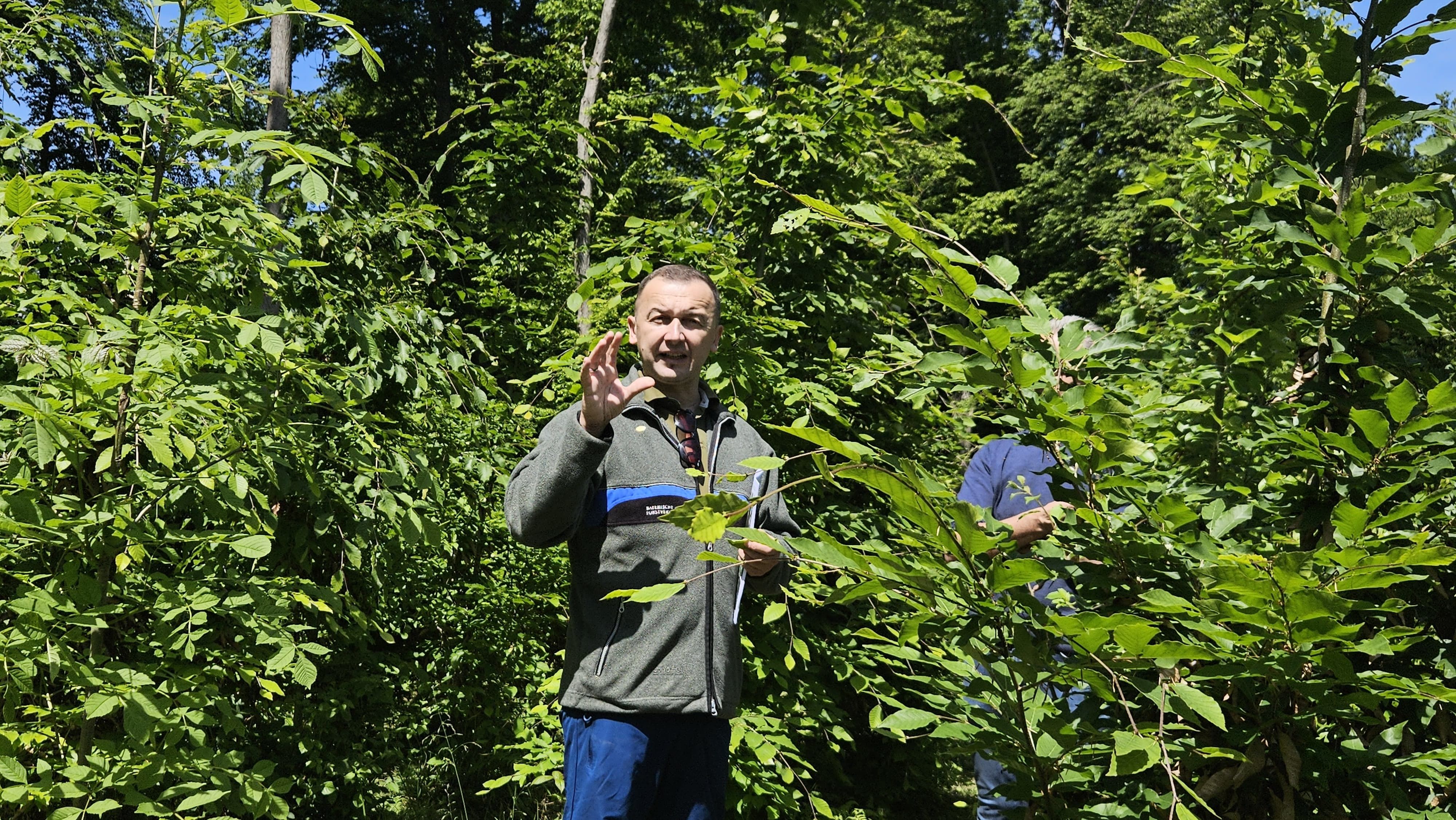 Muhidin Seho vom Bayrischen Amt für Waldgenetik kämpft europaweit für die grüne Zukunft.