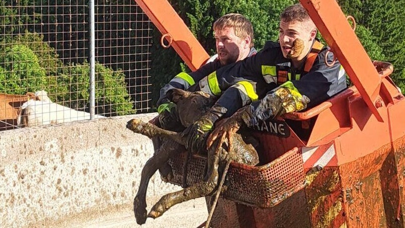 Feuerwehrkräfte zeigen ihren aufopfernden Einsatz.