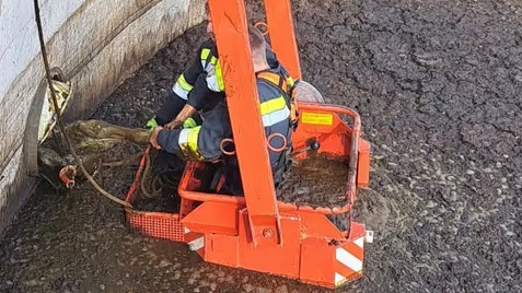 Feuerwehrmenschen der FF Perwarth zeigen Tatendrang.