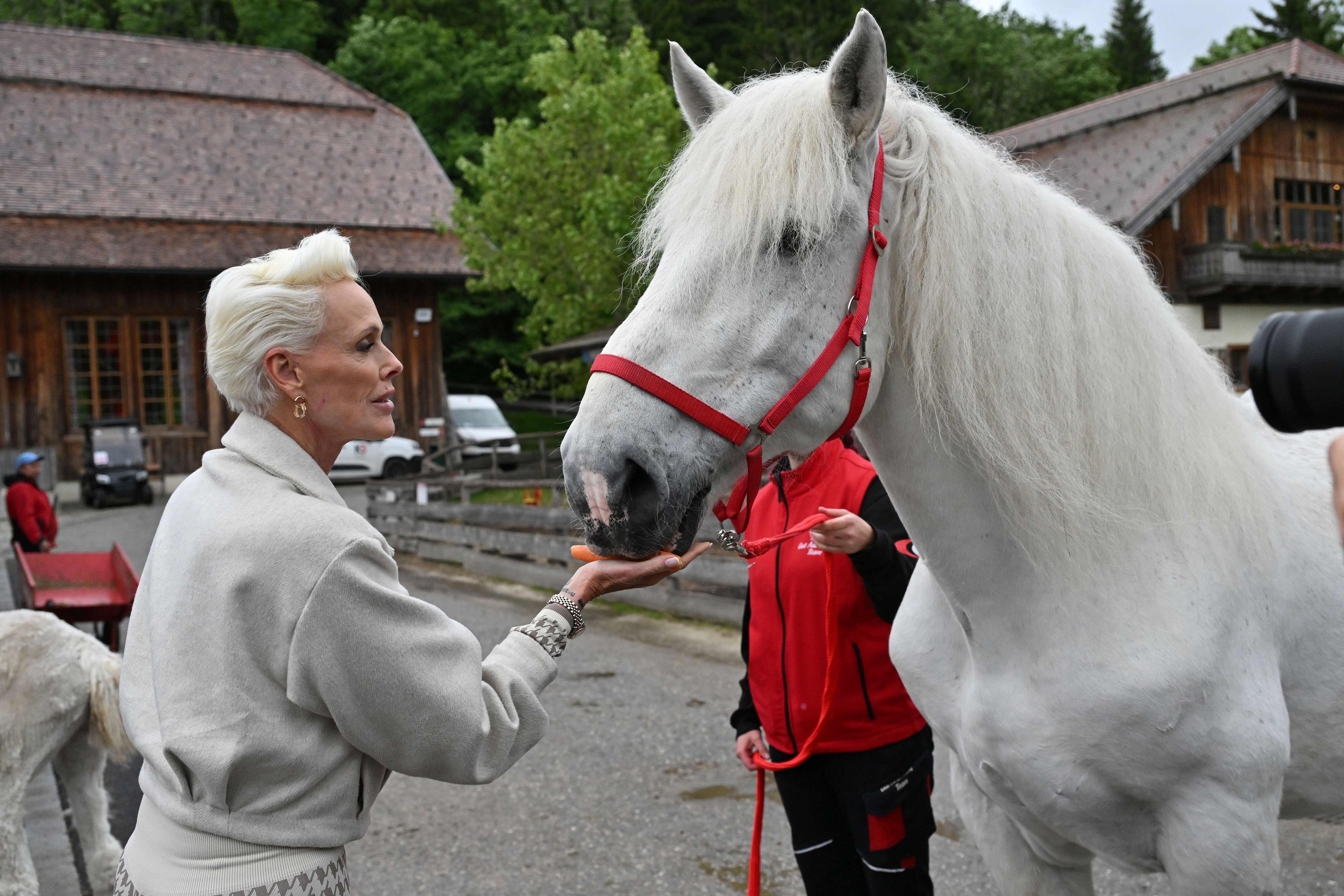 Schauspielerin Brigitte Nielsen mit Pferd Markus auf Gut Aiderbichl