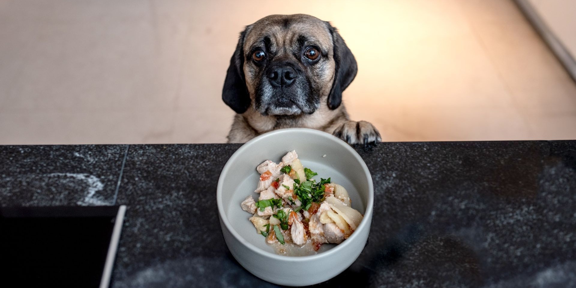 Da wird man als Mensch ja neidisch! 