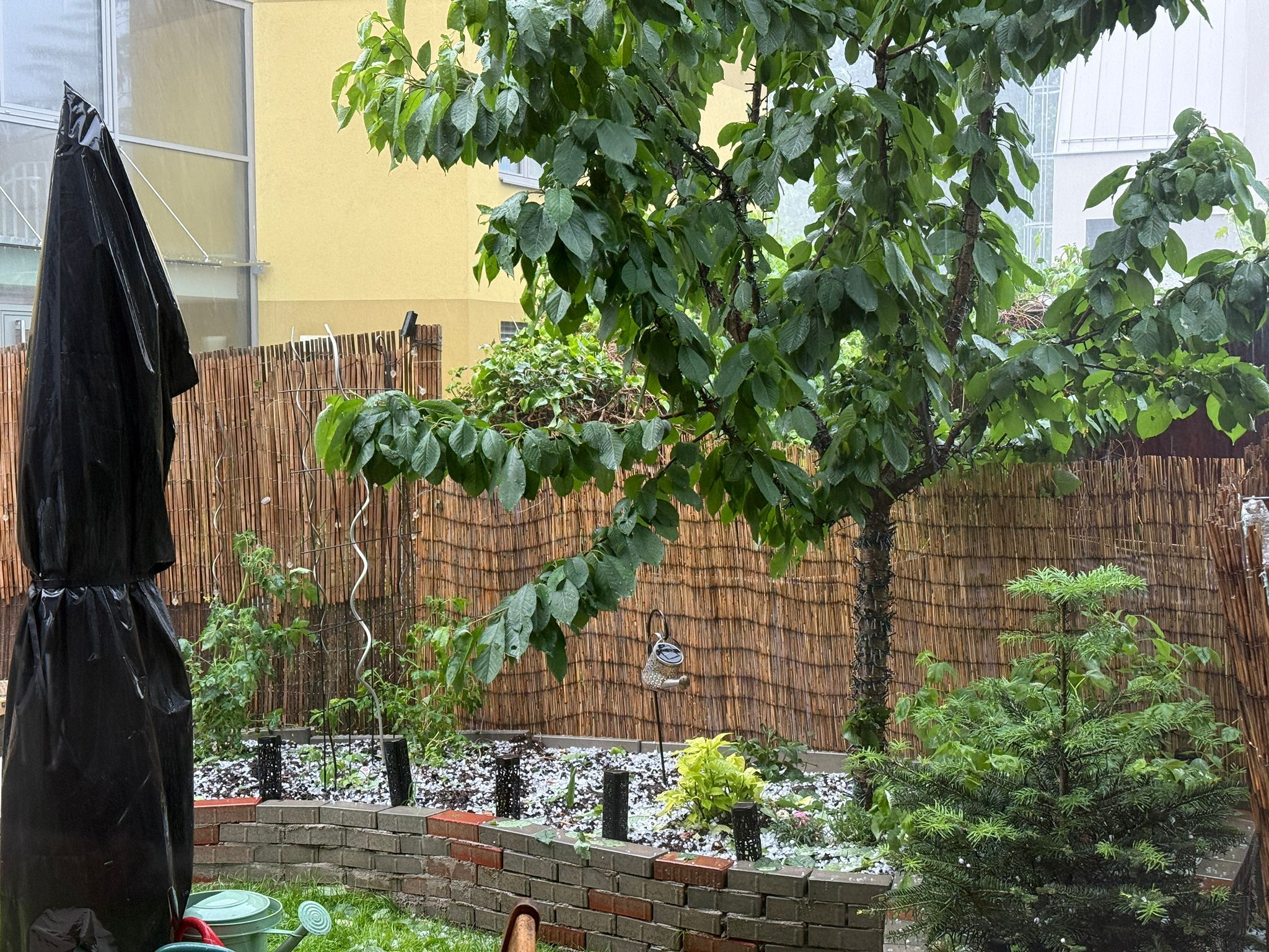 Am Sonntag (1. Juni 2025) ging über Wien Hagel nieder – wie Fotos aus der Wiener Donaustadt beweisen.