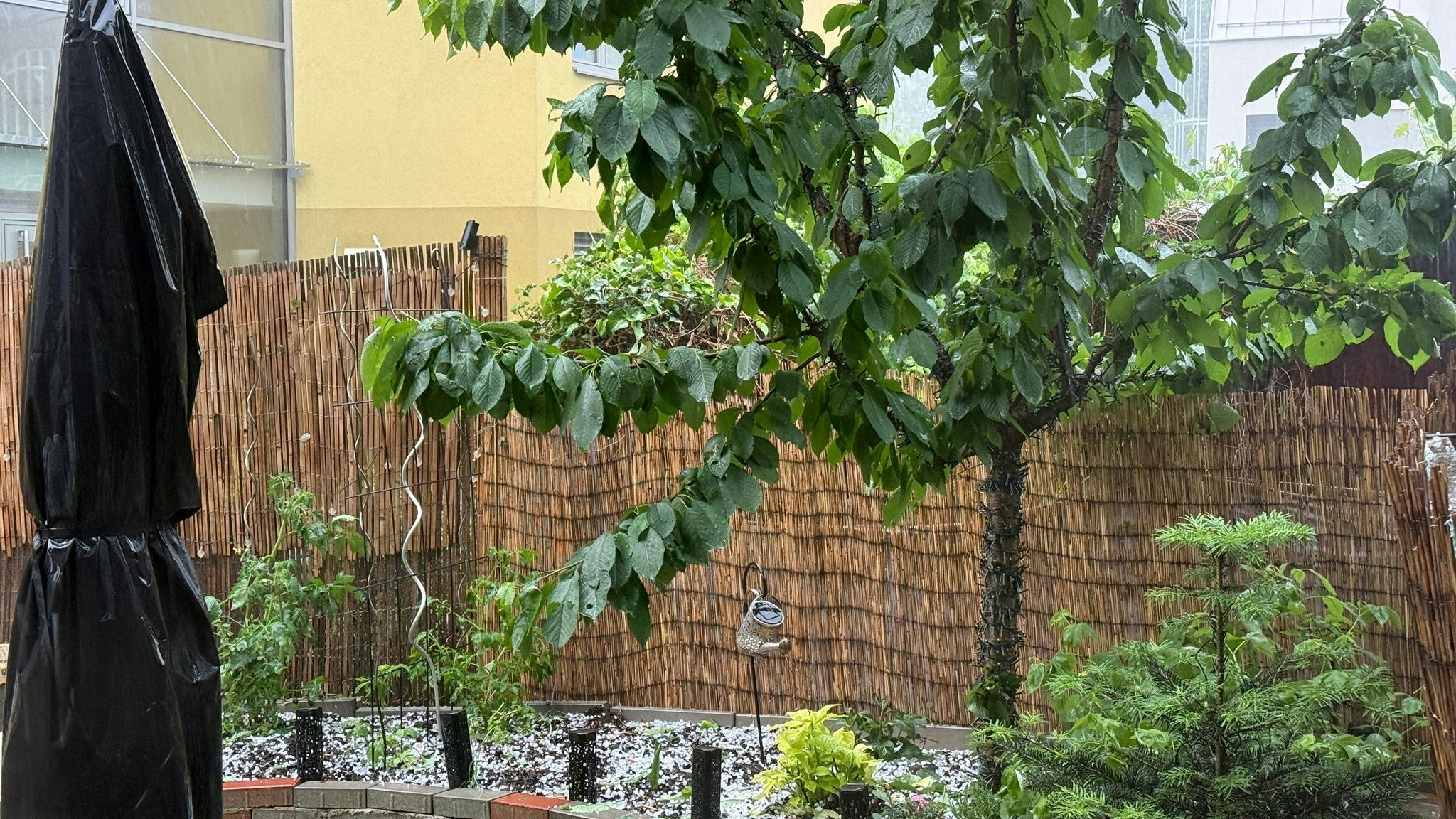 Am Sonntag (1. Juni 2025) ging über Wien Hagel nieder – wie Fotos aus der Wiener Donaustadt beweisen.